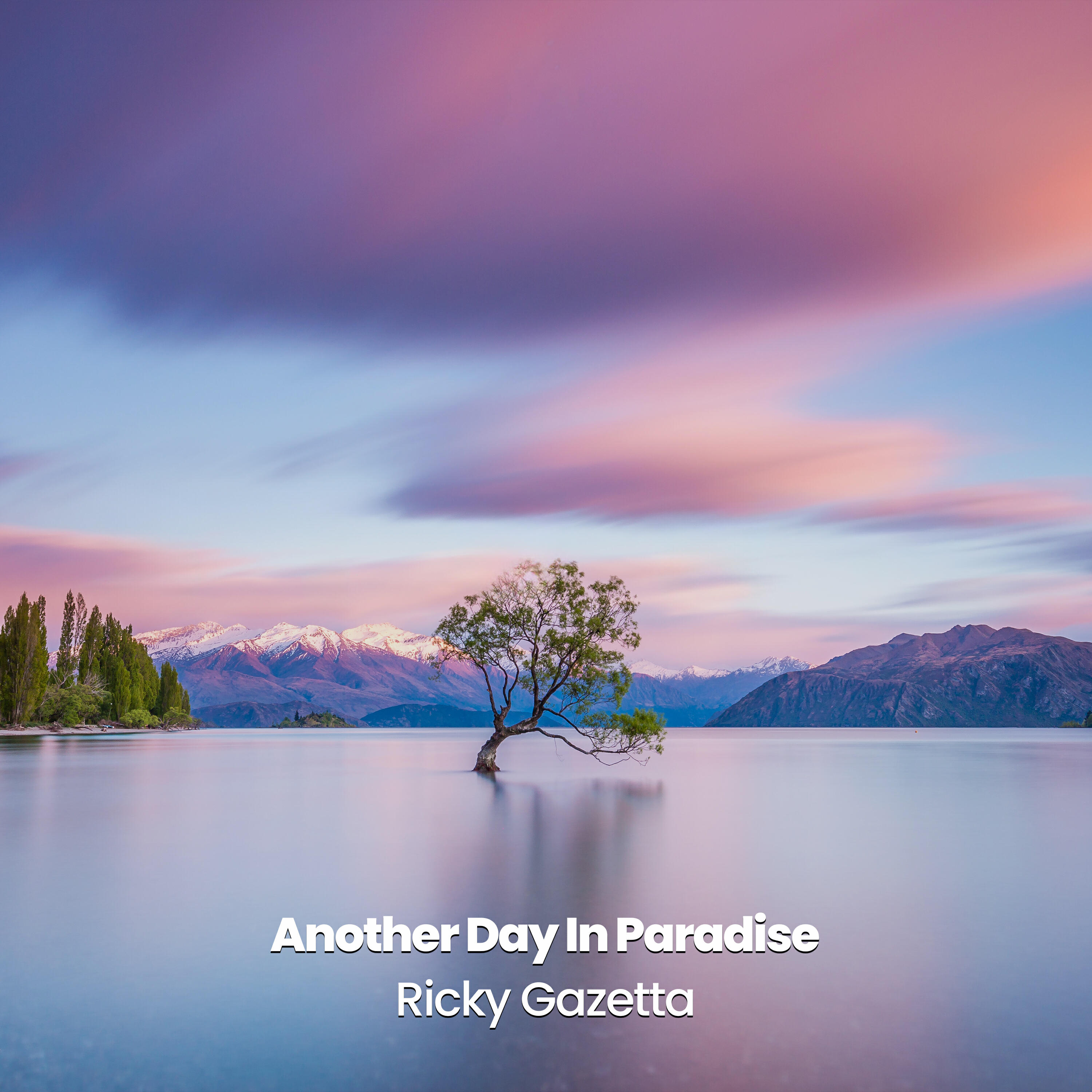 Релиз Another Day In Paradise (Storm)