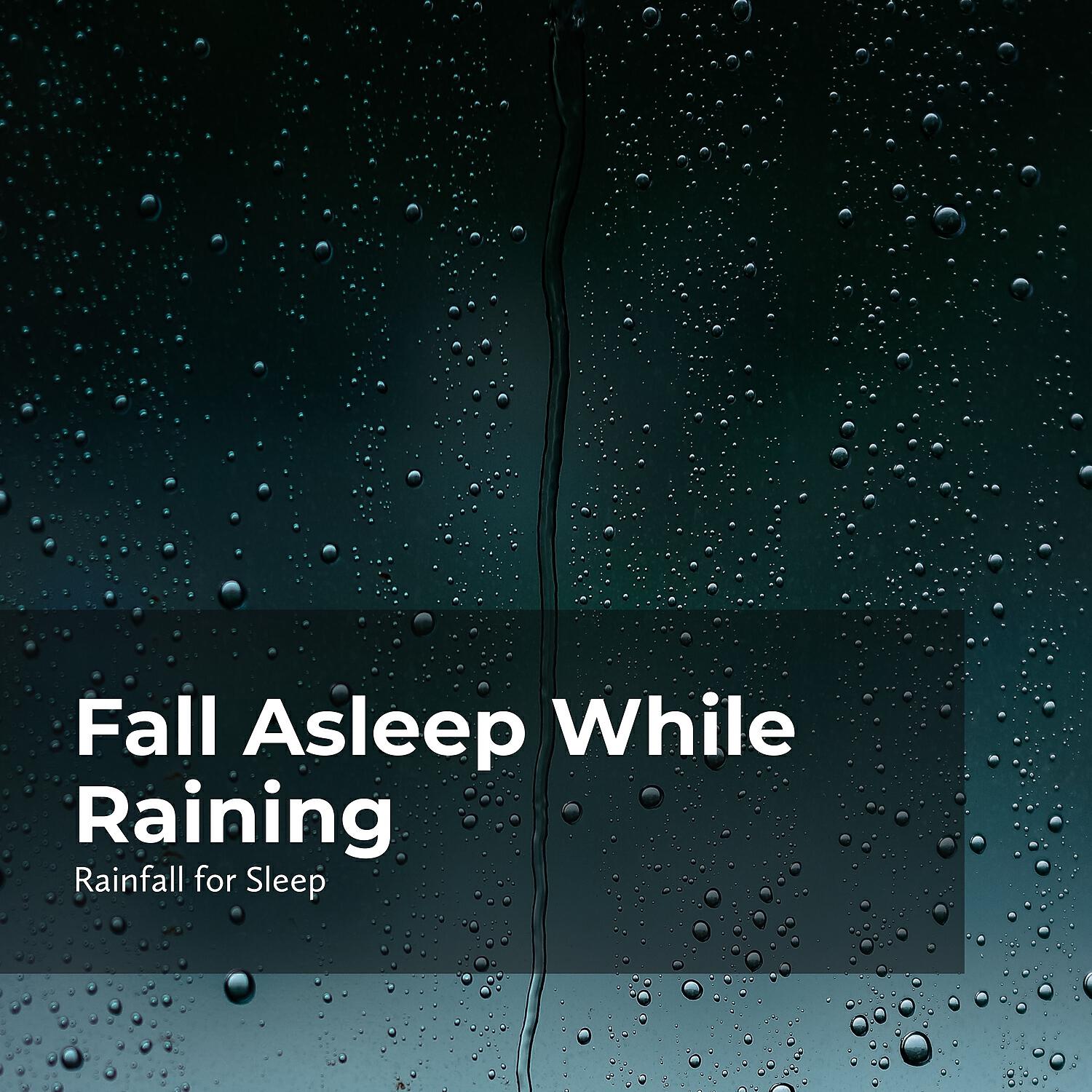Релиз Fall Asleep While Raining