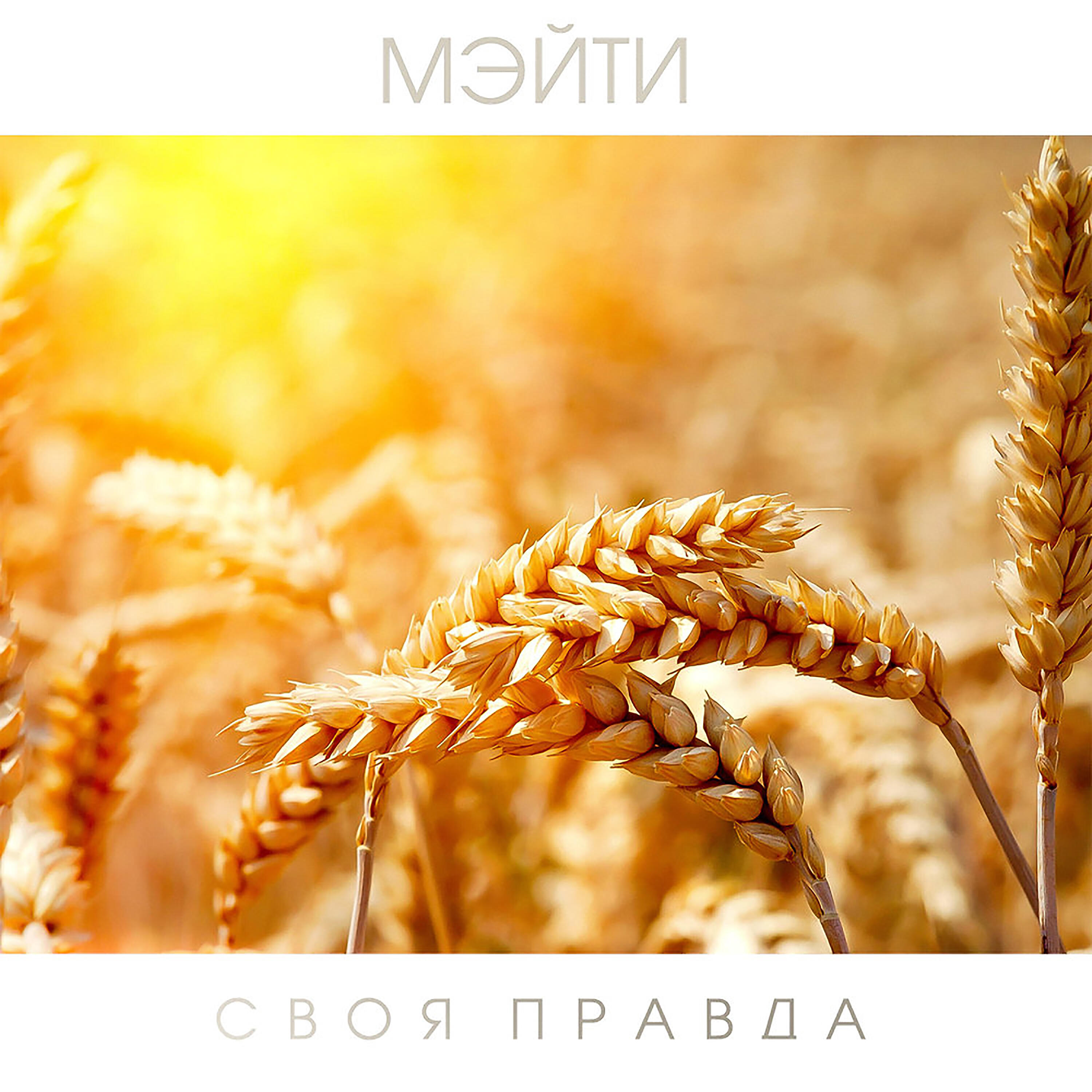 Релиз Своя правда