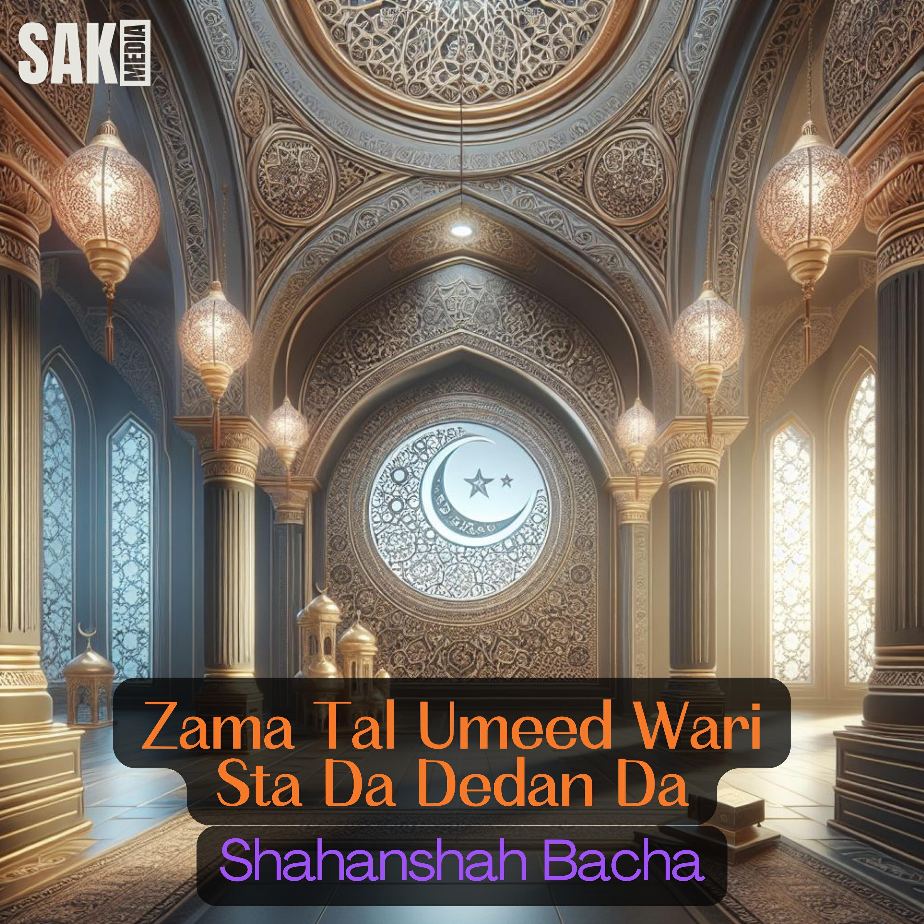 Релиз Zama Tal Umeed Wari Sta Da Dedan Da