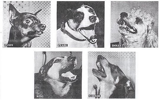 The Singing Dogs