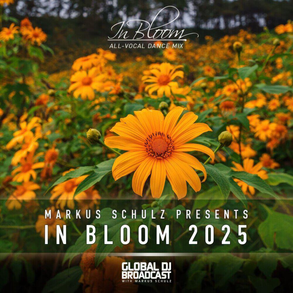 Релиз In Bloom 2025 (Vocal Dance Mix)