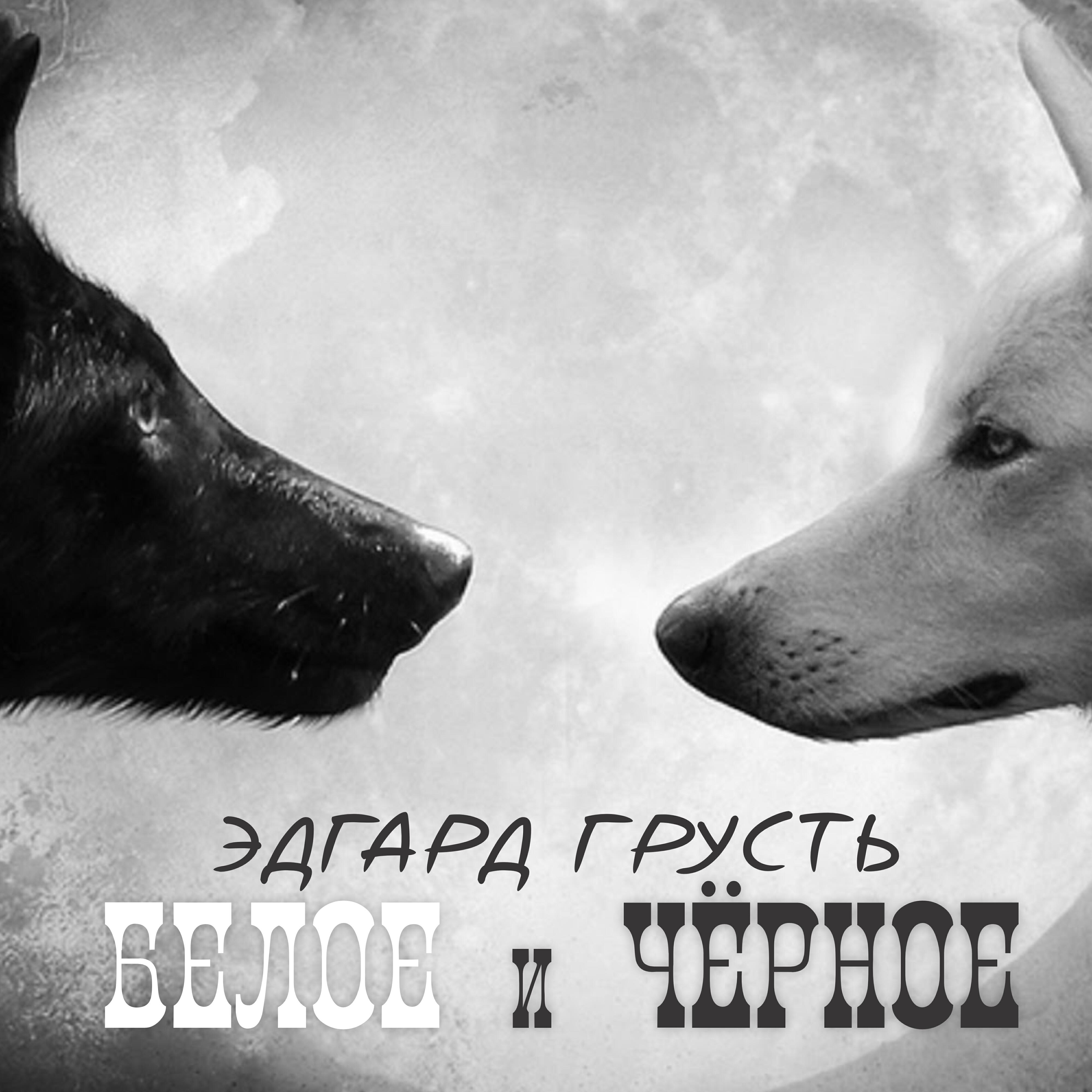 Постер альбома Белое и чёрное