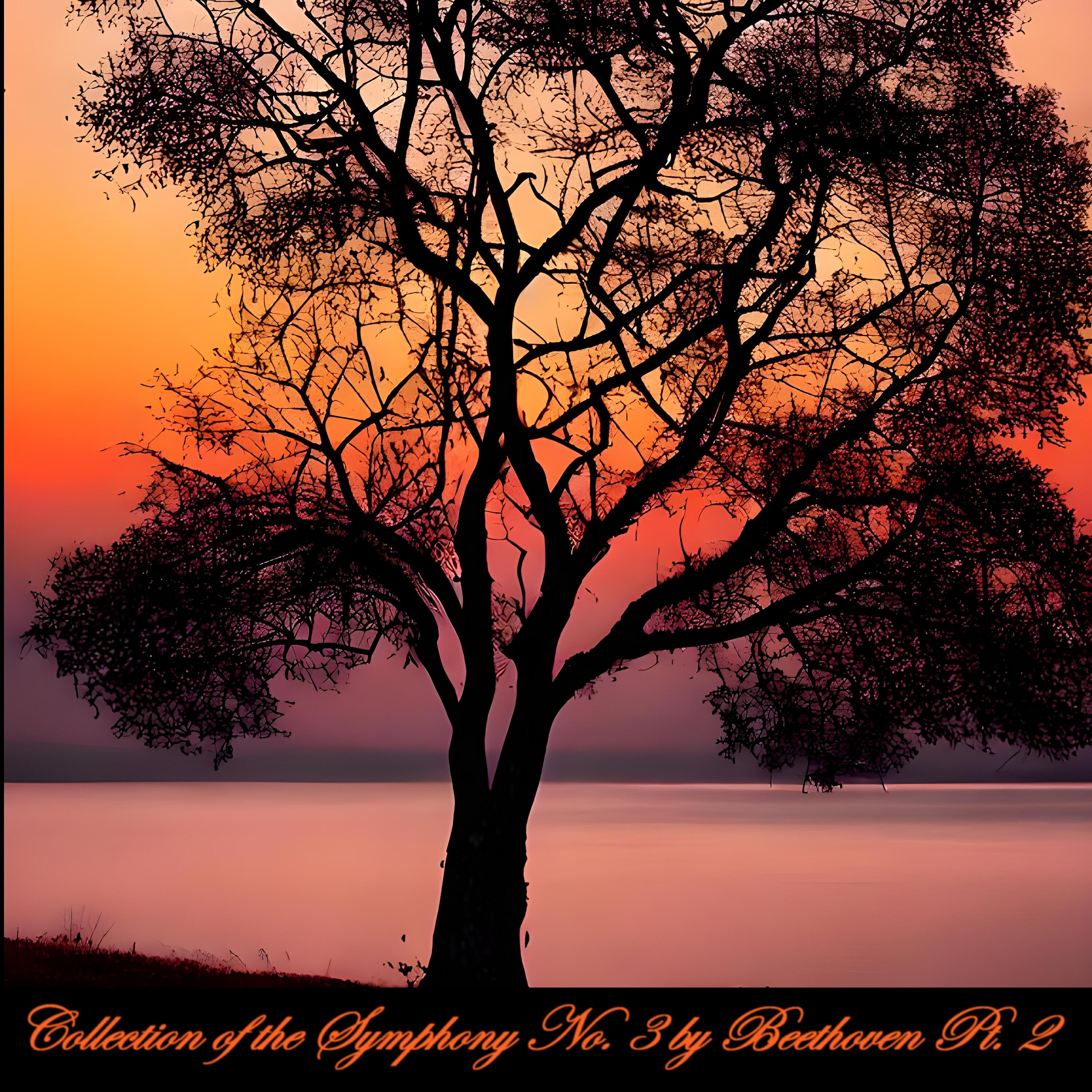 Релиз Collection of the Symphony No. 3 by Beethoven, pt. 2