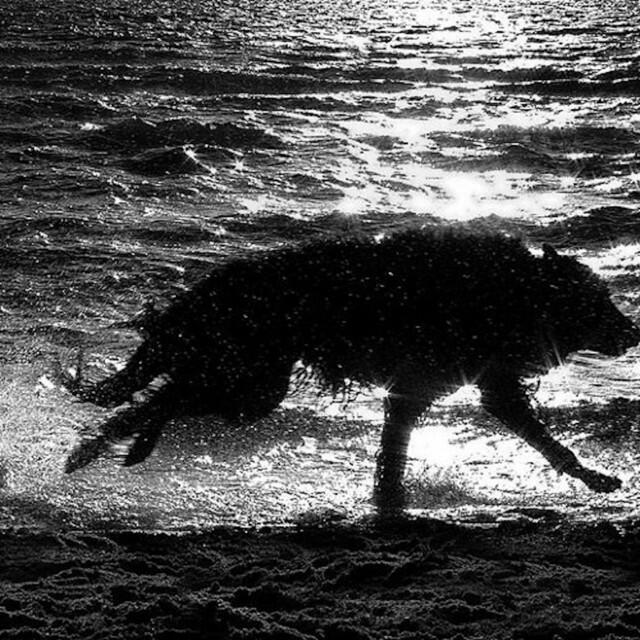 Релиз Hiding Place