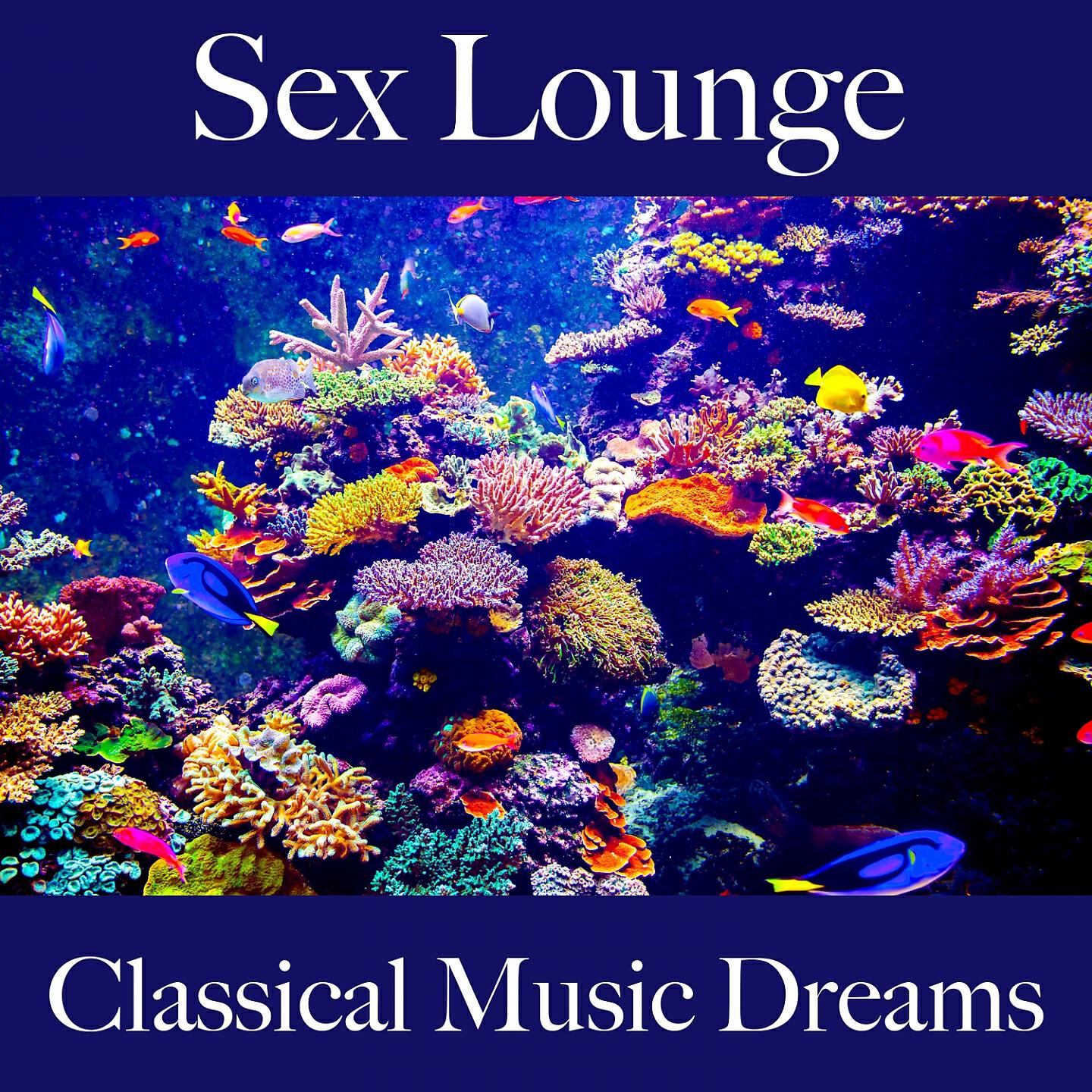 Релиз Sex Lounge: Classical Music Dreams - Pour Les Moments De Sensualité À Deux