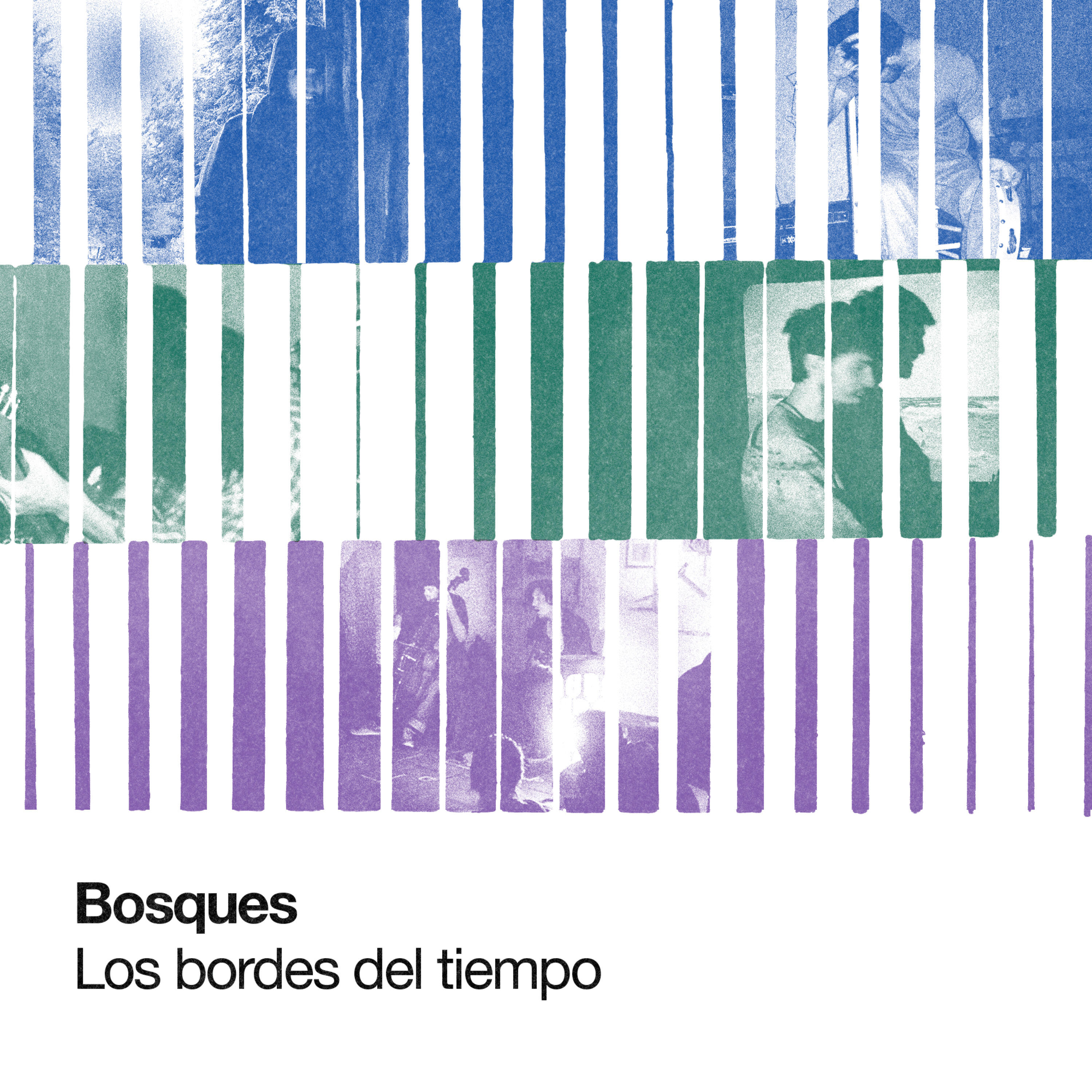 Bosques