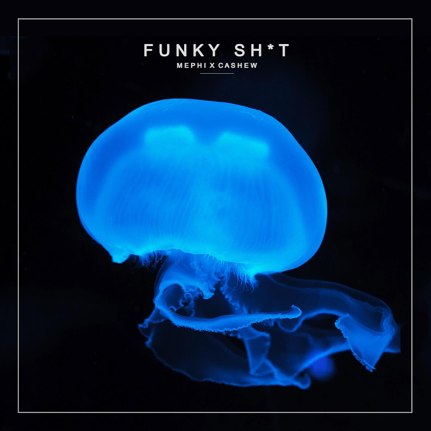 Релиз Funky Shit