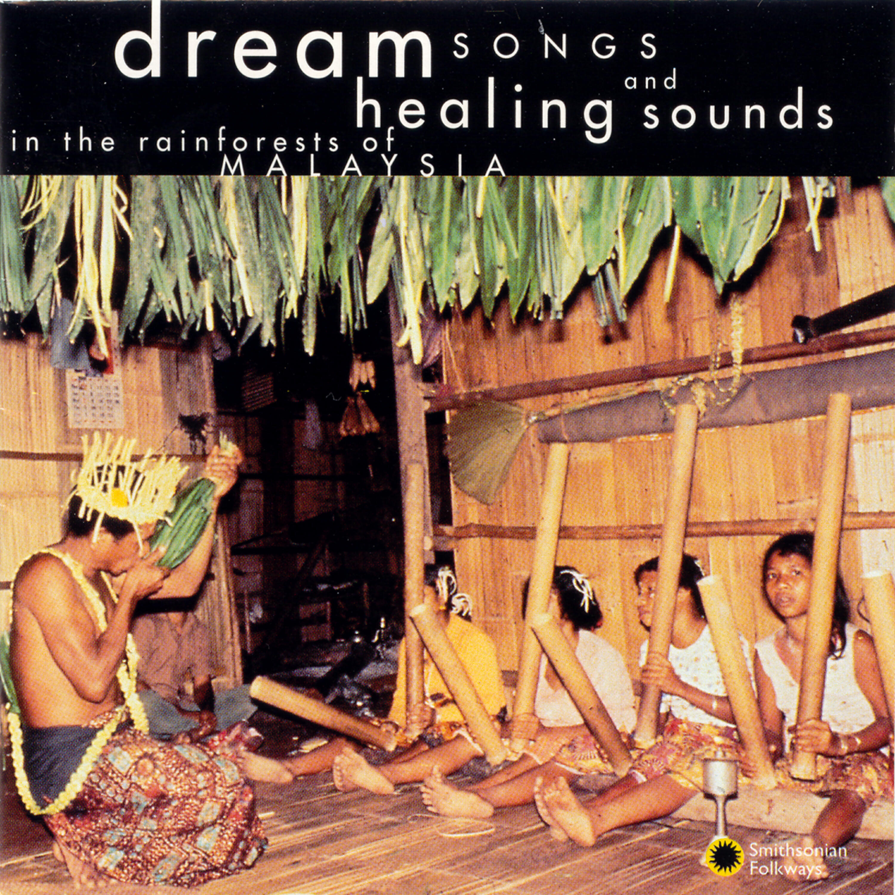 Постер альбома Dream Songs and Healing Sounds in the Rainforests of Malaysia