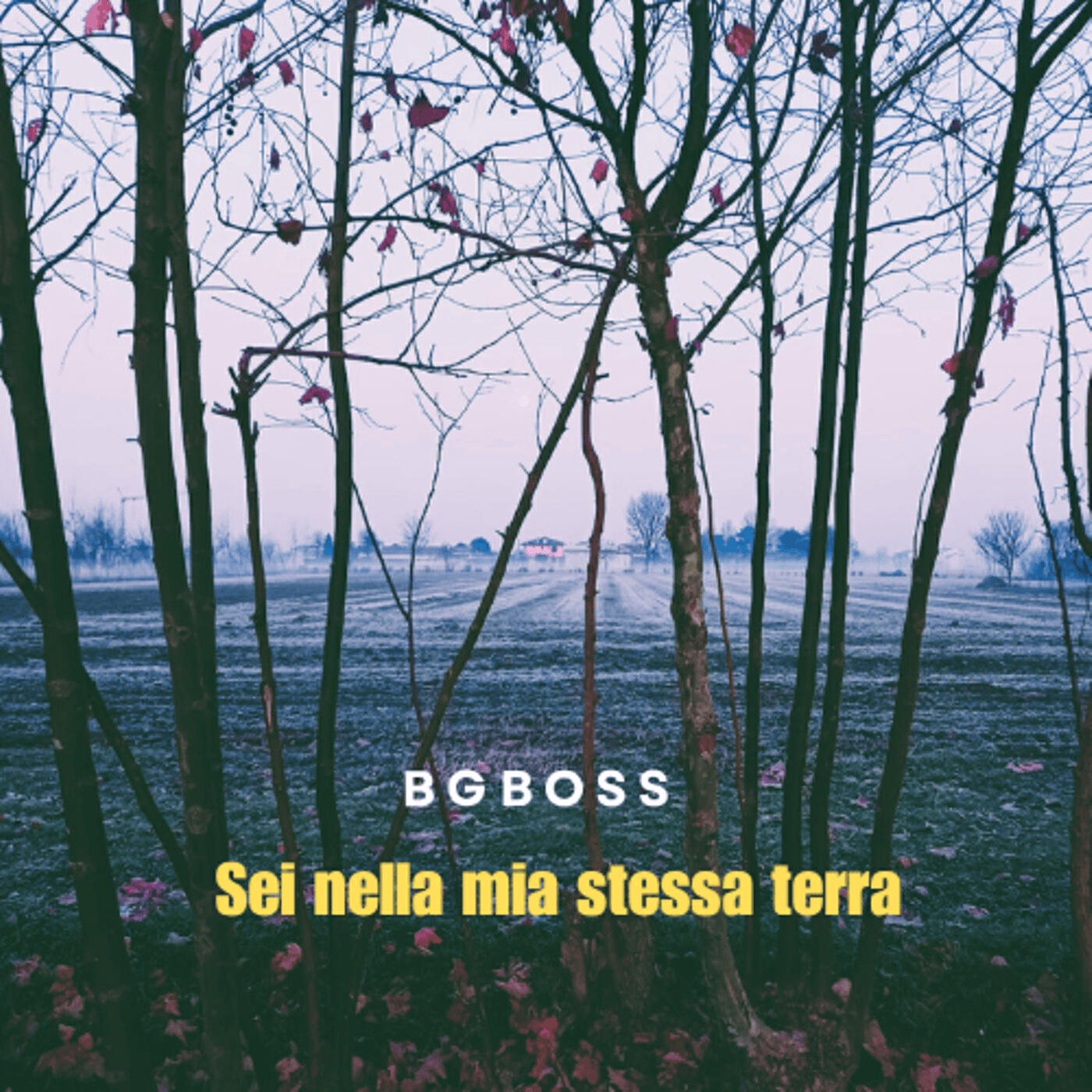 Релиз Sei nella mia stessa terra