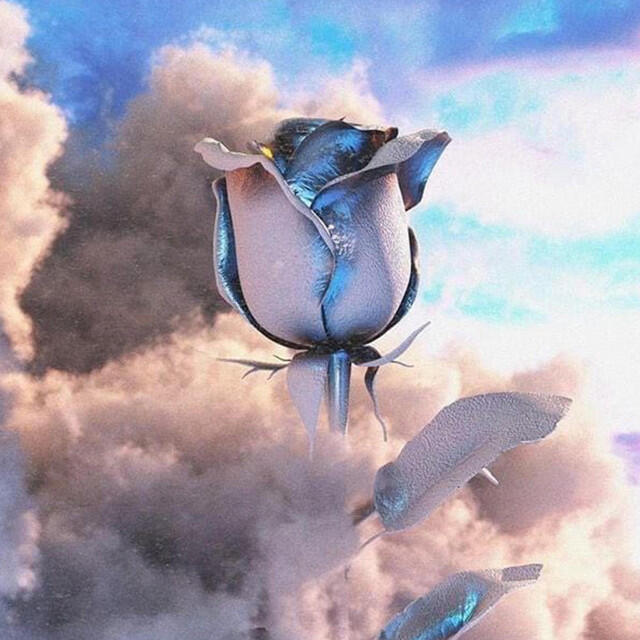 Релиз Nimbus