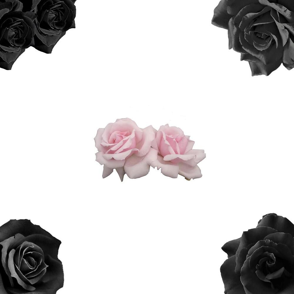 Релиз Le rose et le noir