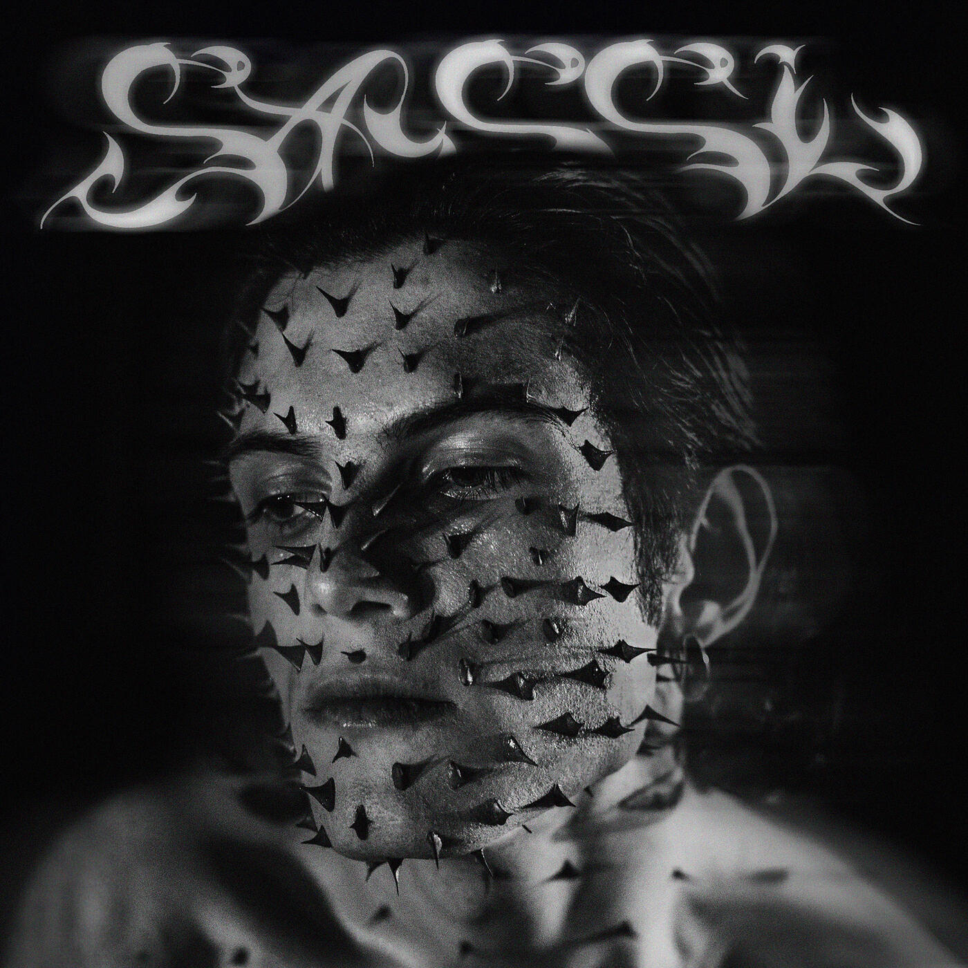 Релиз SASSI