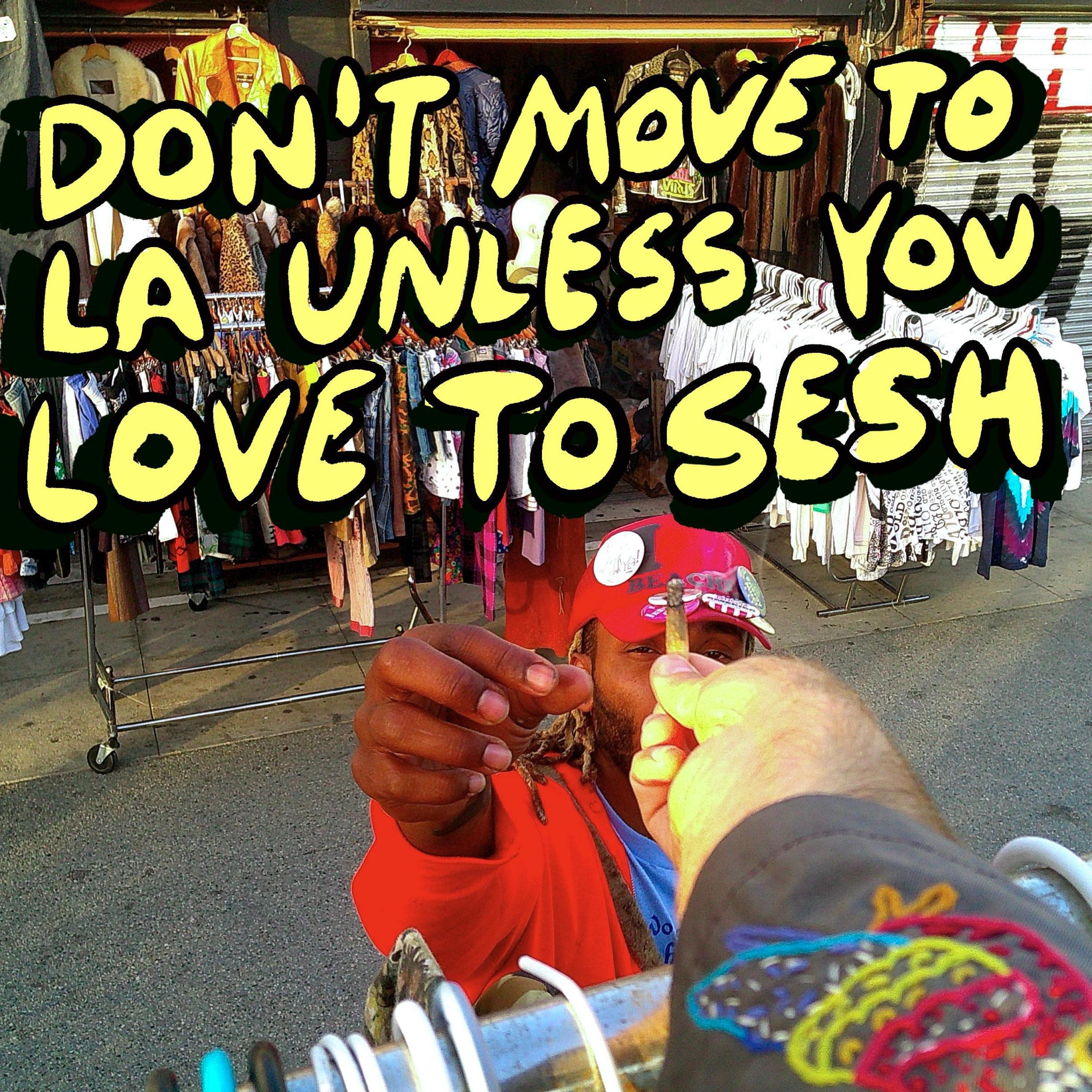 Релиз Don't Move to LA Unless You Love to Sesh