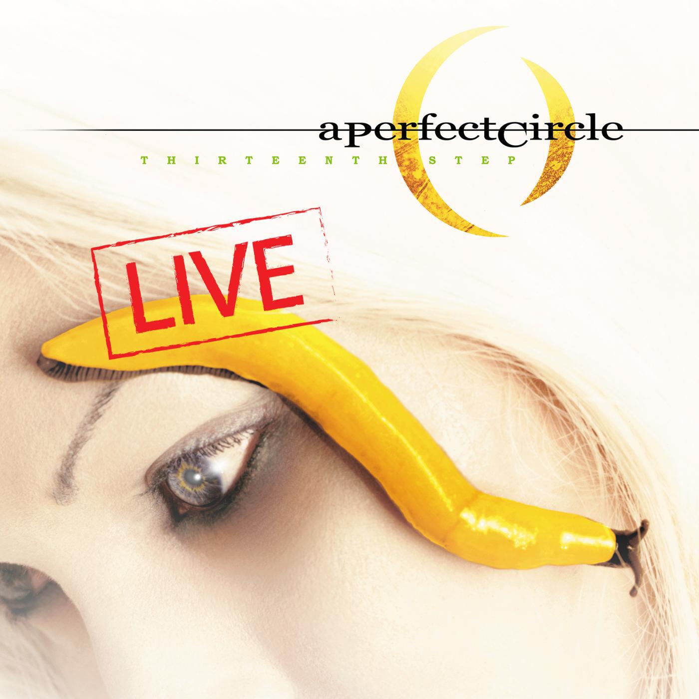 Релиз Thirteenth Step - Live