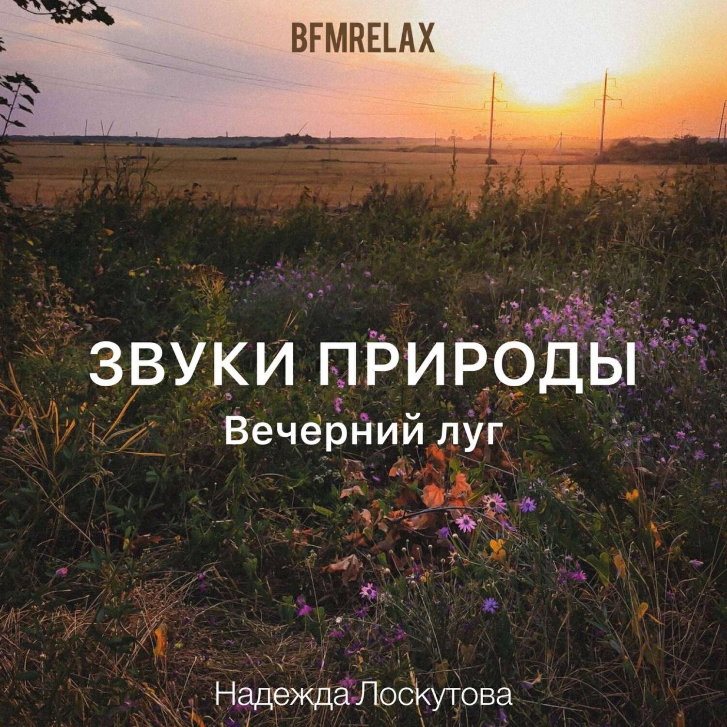 Релиз Вечерний луг (БФМ релакс, ASMR, для отдыха, для сна, для учёбы)