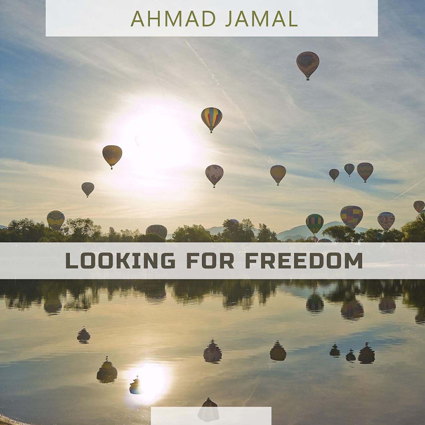 Релиз Looking For Freedom