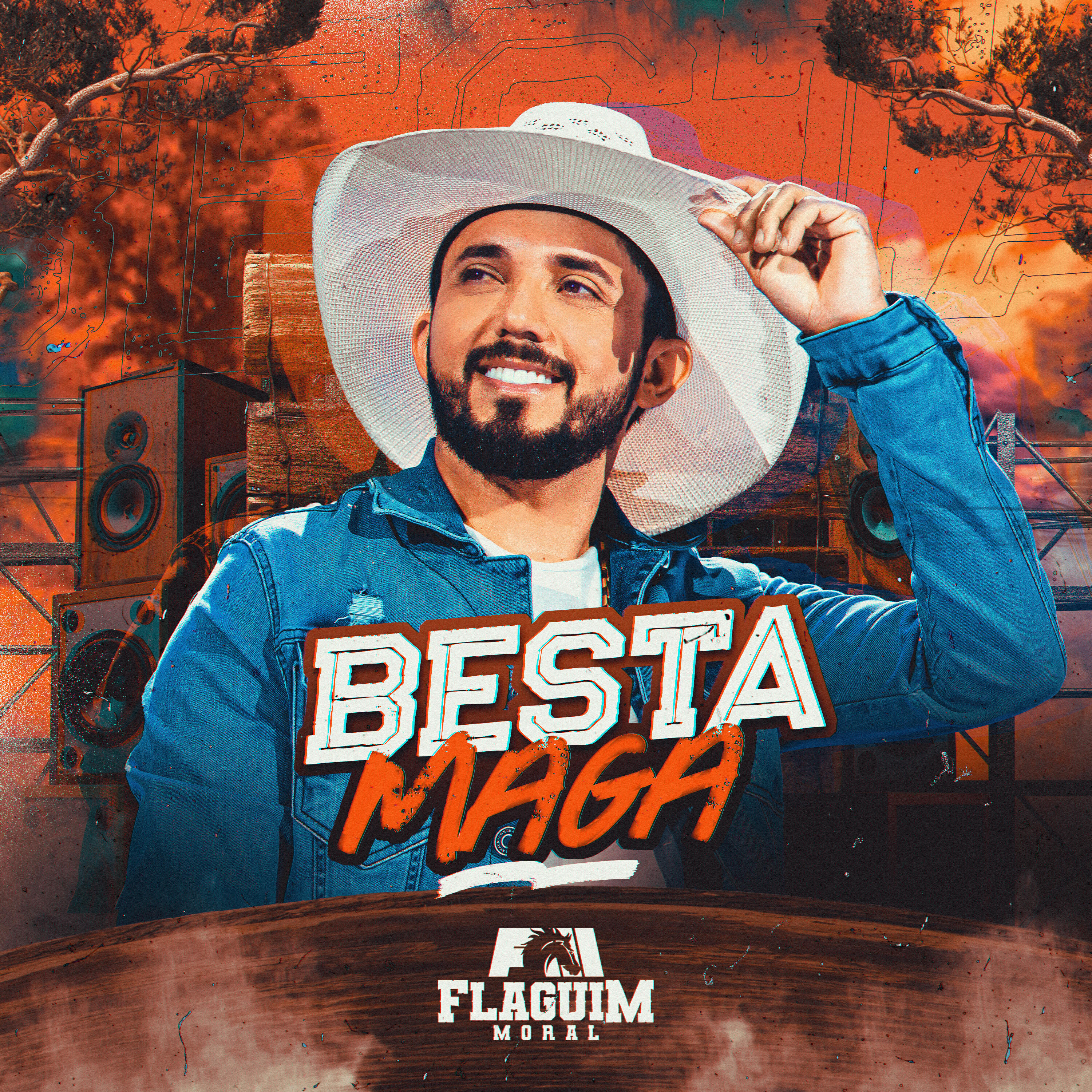 Релиз Besta Maga