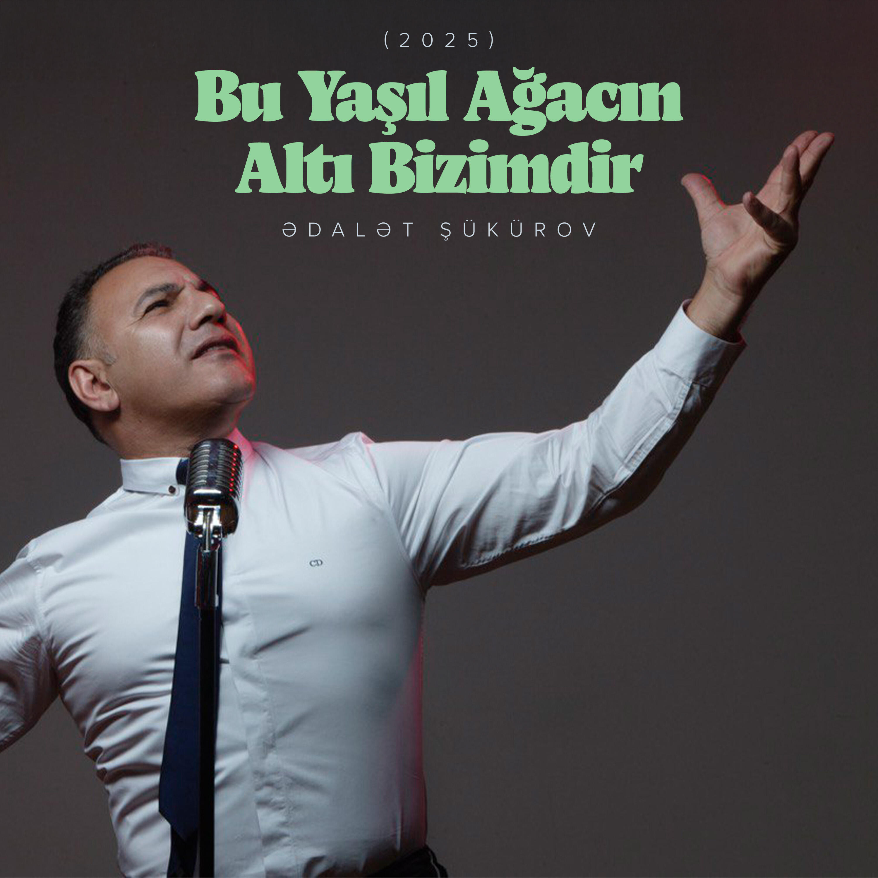 Релиз Bu Yaşıl Ağacın Altı Bizimdir (2025)