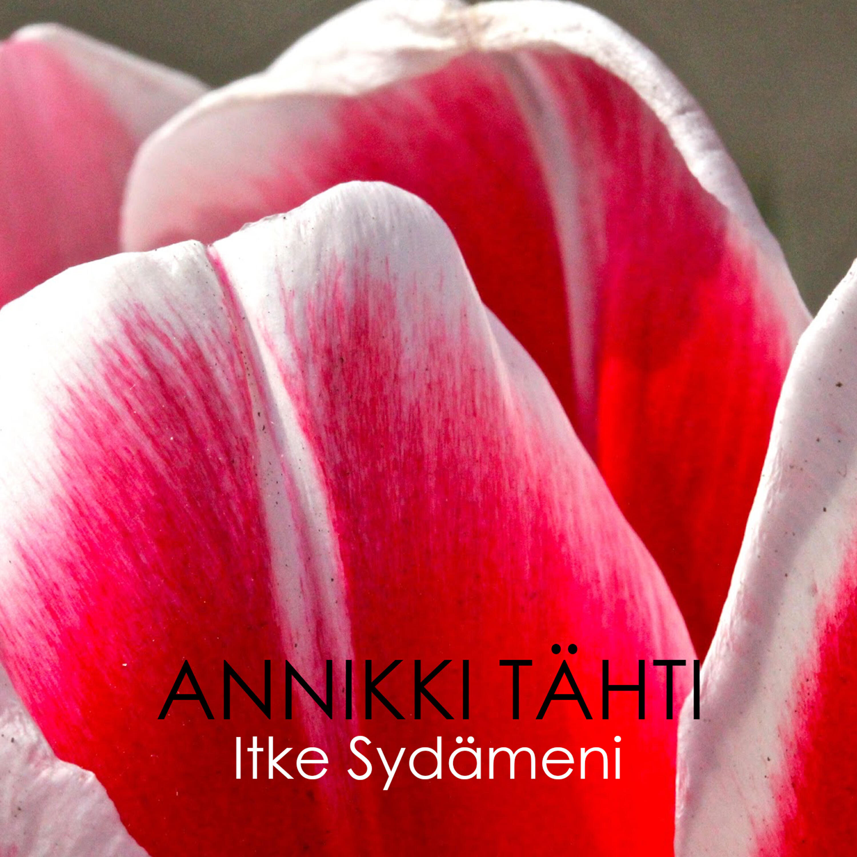 Релиз Itke Sydämeni
