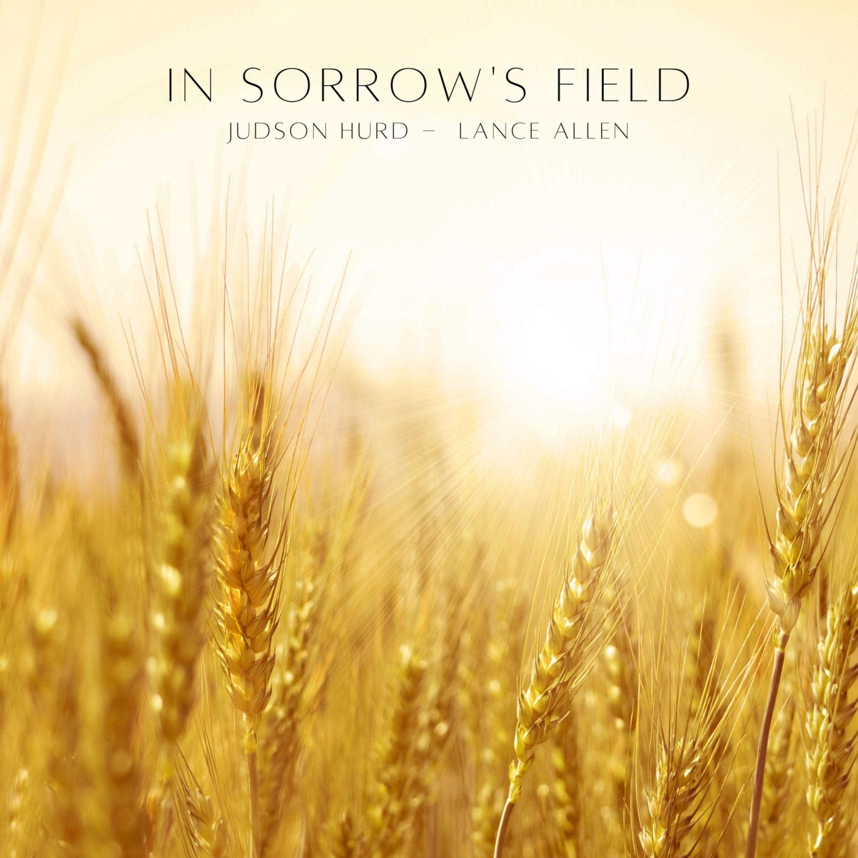Релиз In Sorrow's Field (Piano Version)