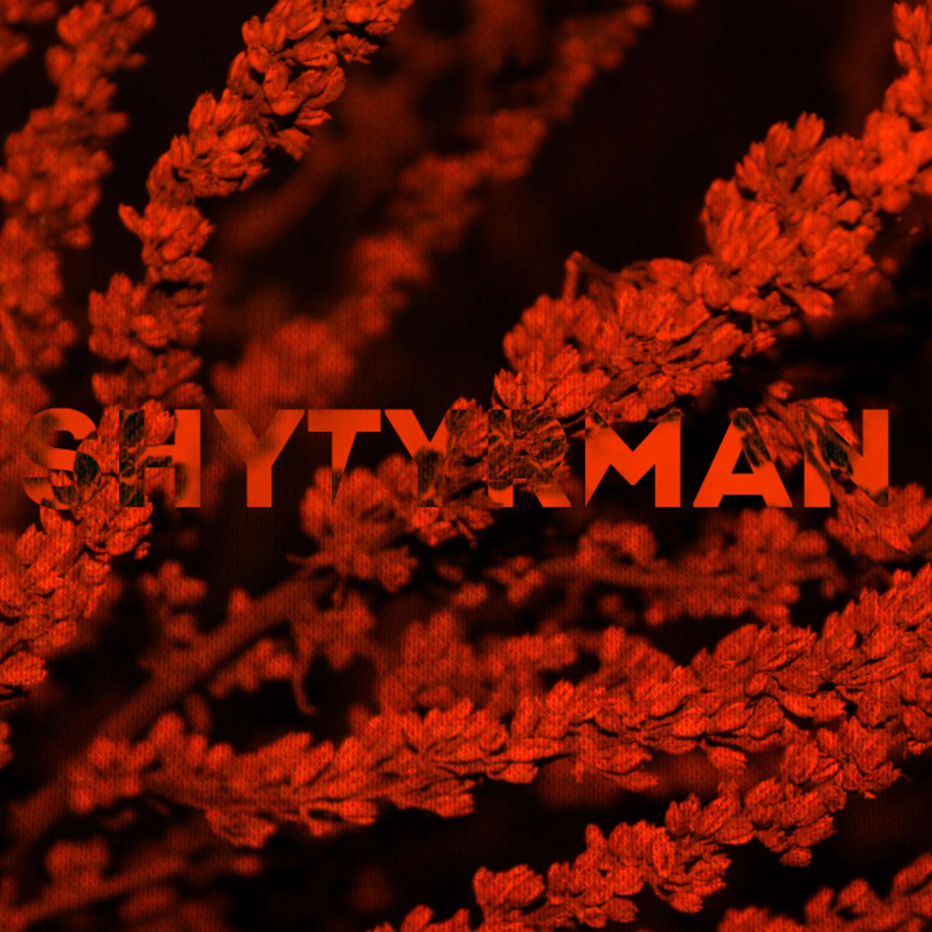 Релиз Shytyrman