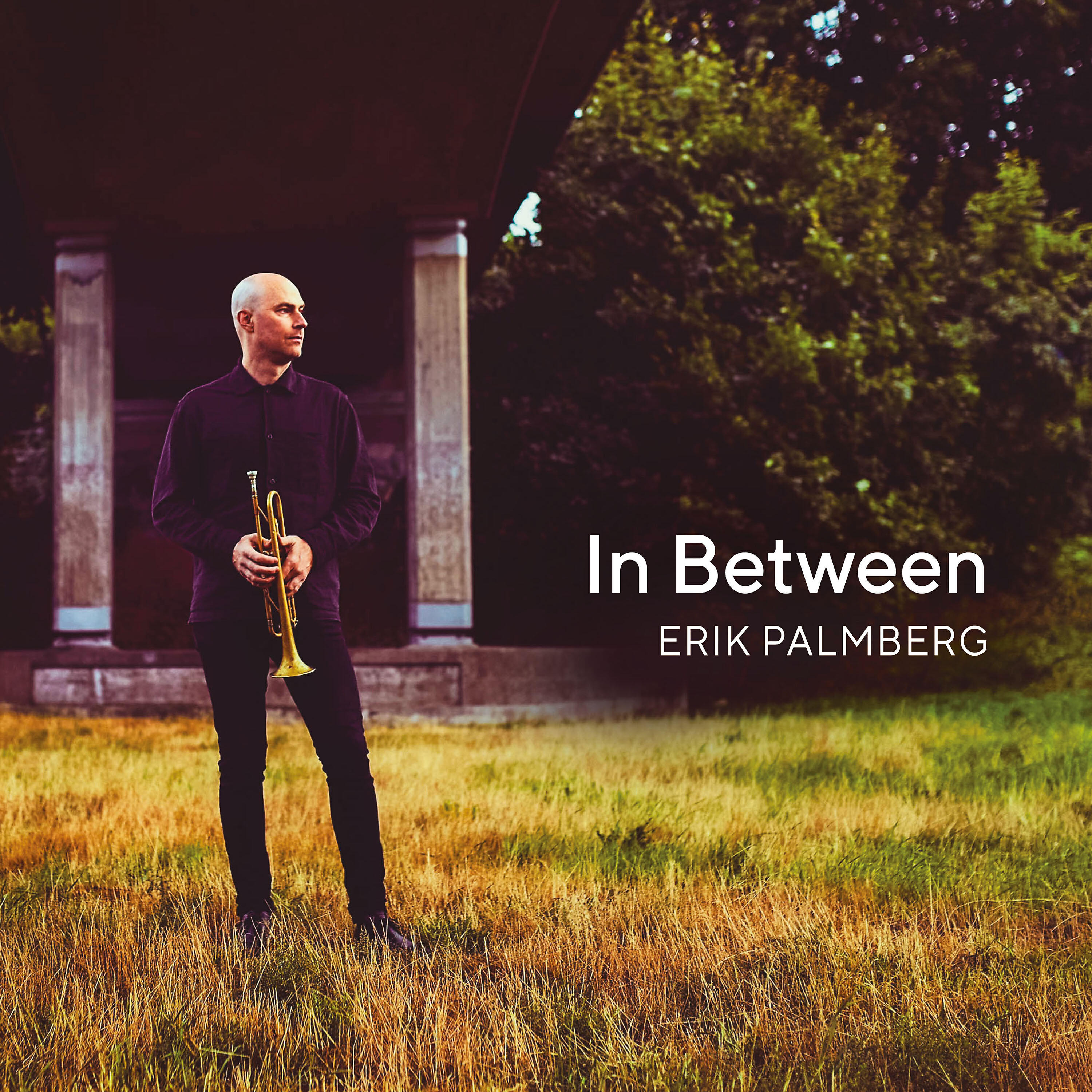 Erik Palmberg