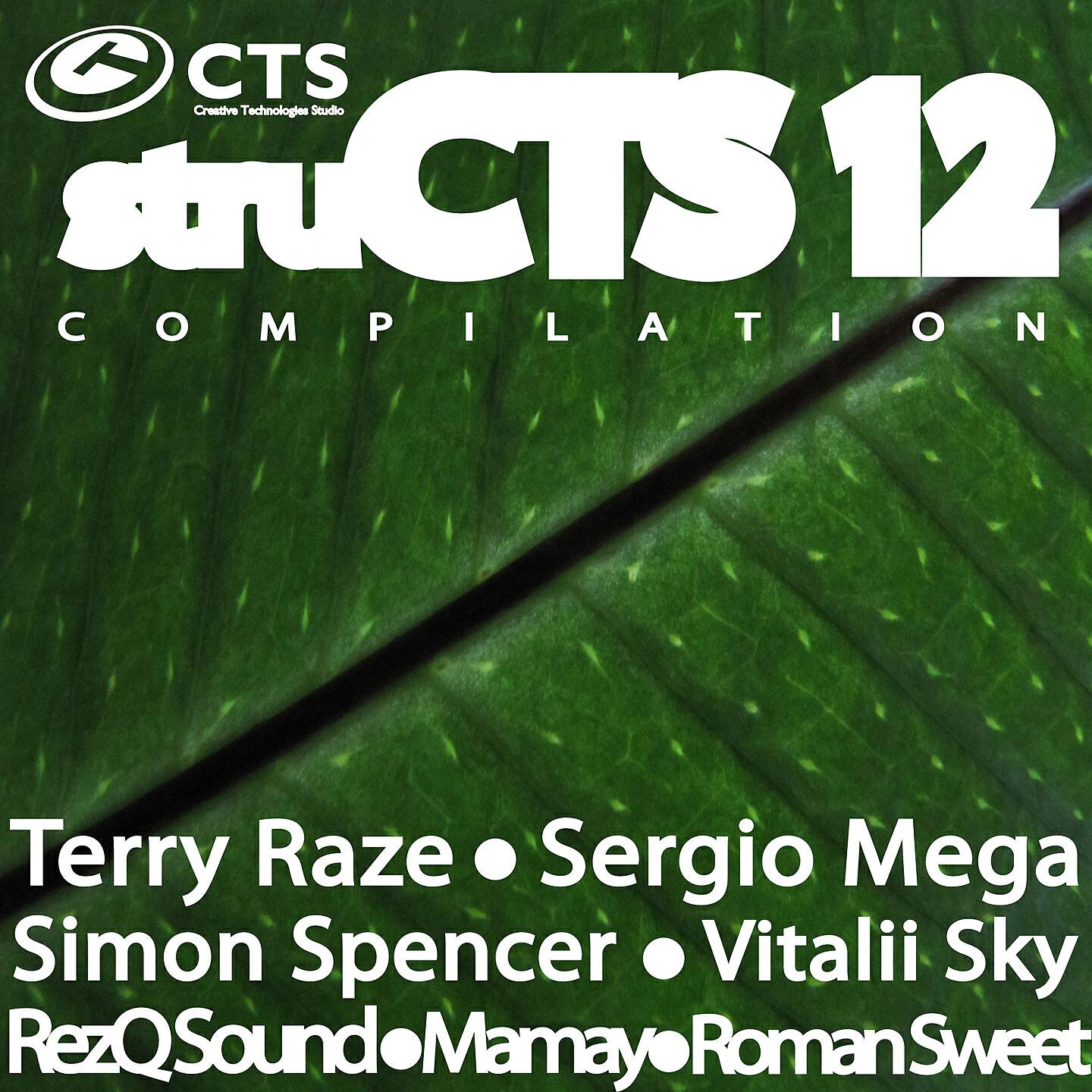 Релиз struCTS, Vol. 12