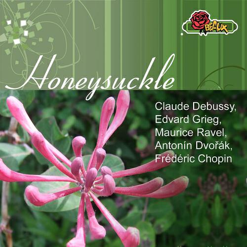 Релиз Honeysuckle