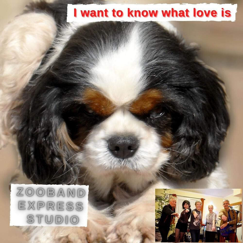 Постер альбома I Want to Know What Love Is