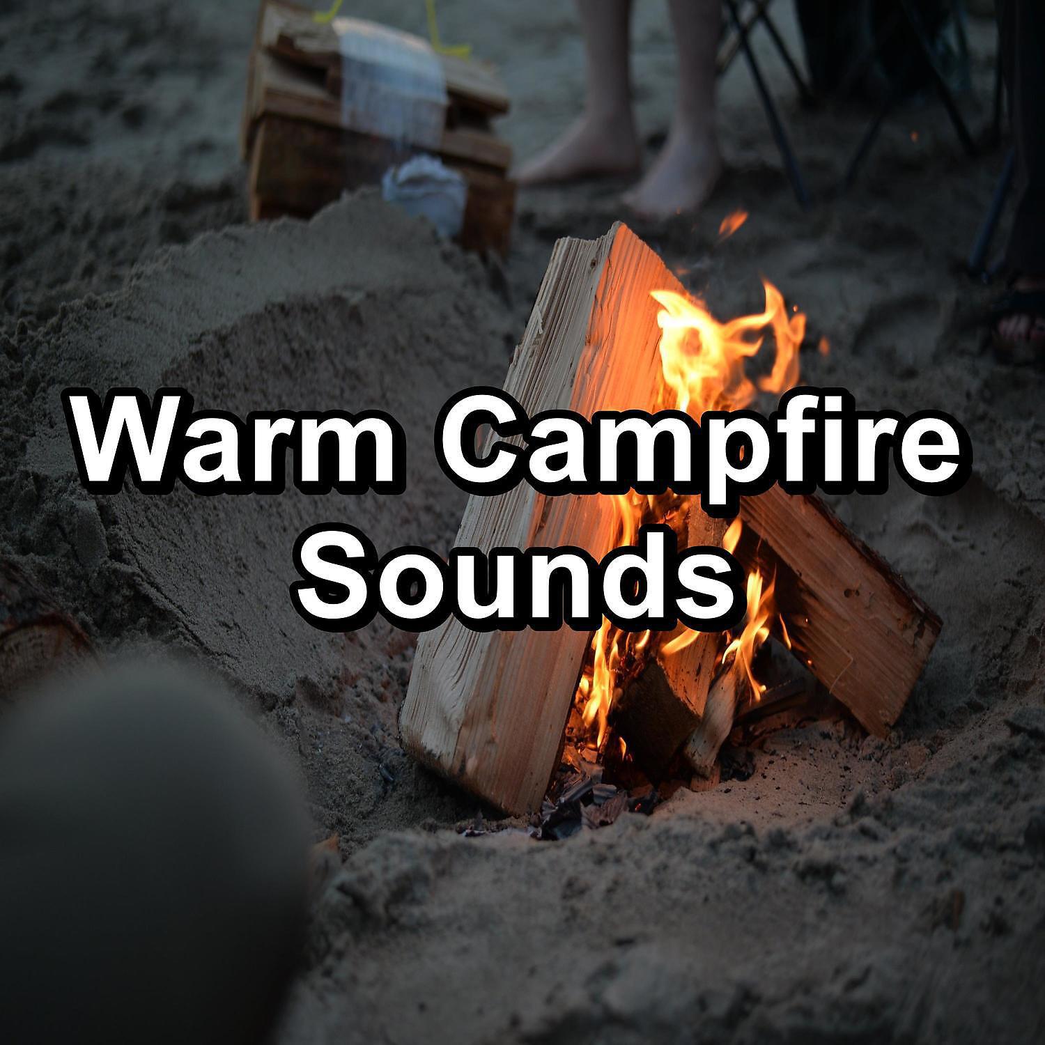 Постер альбома Warm Campfire Sounds