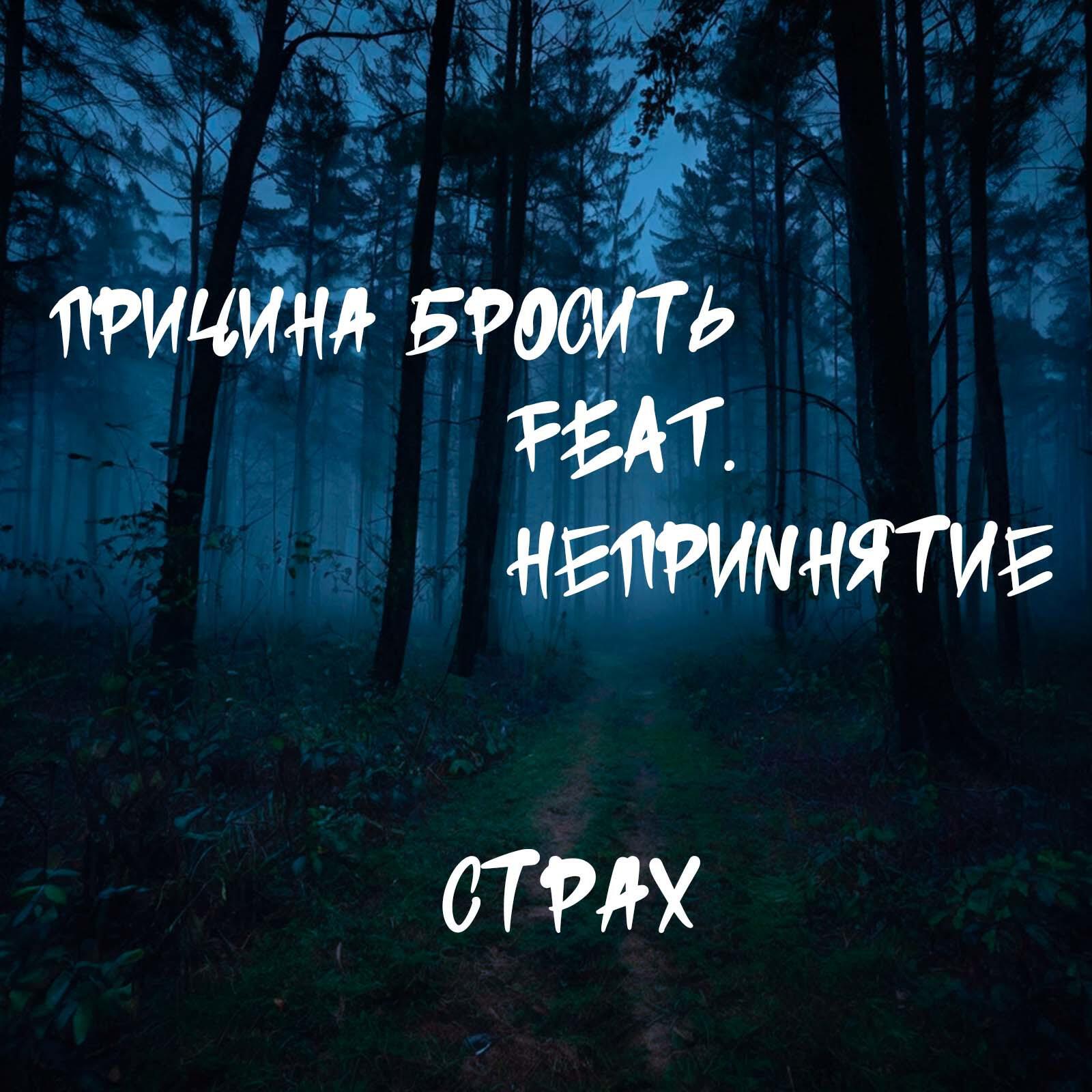 Постер альбома Страх (feat. НЕПРИNНЯТИЕ)