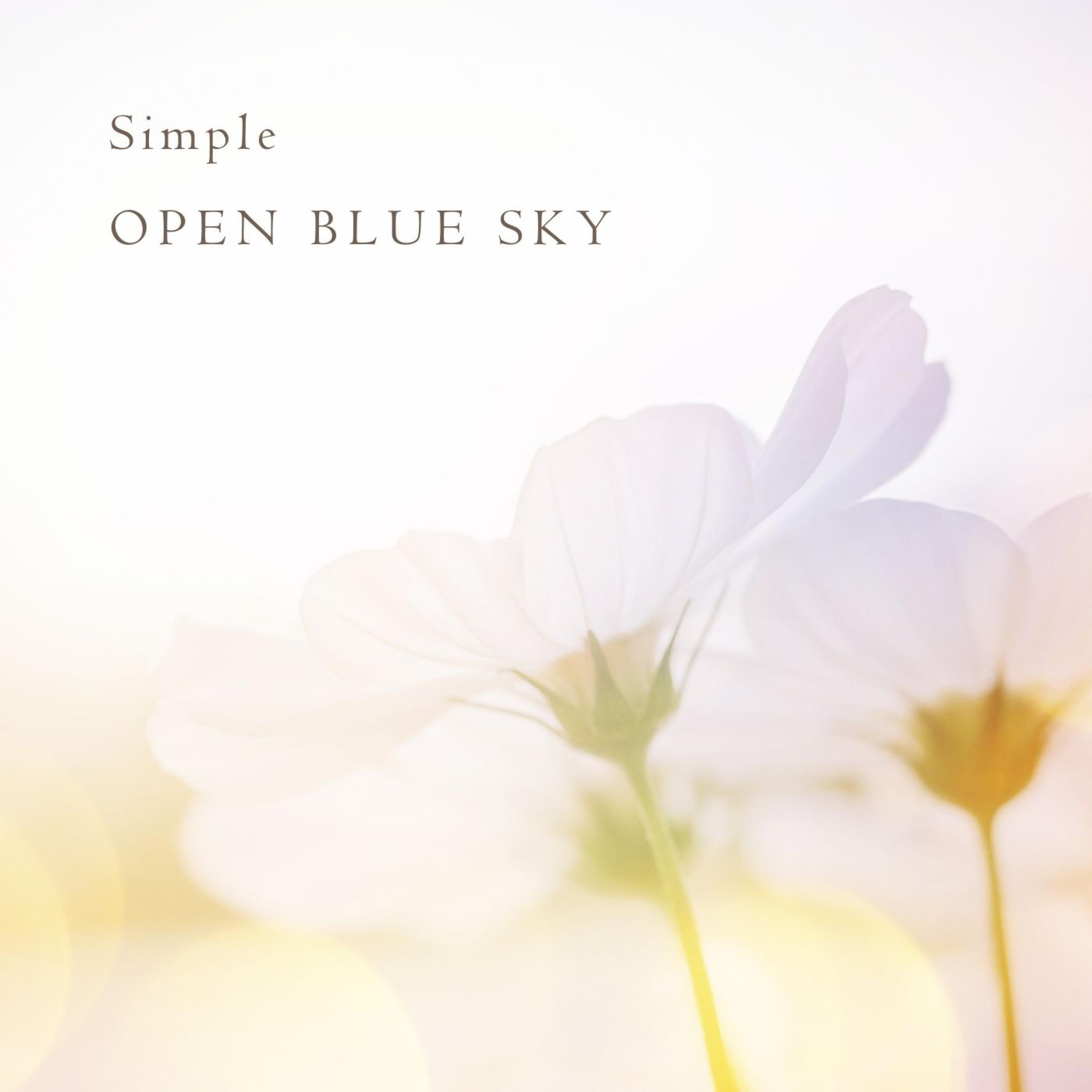 Релиз Simple