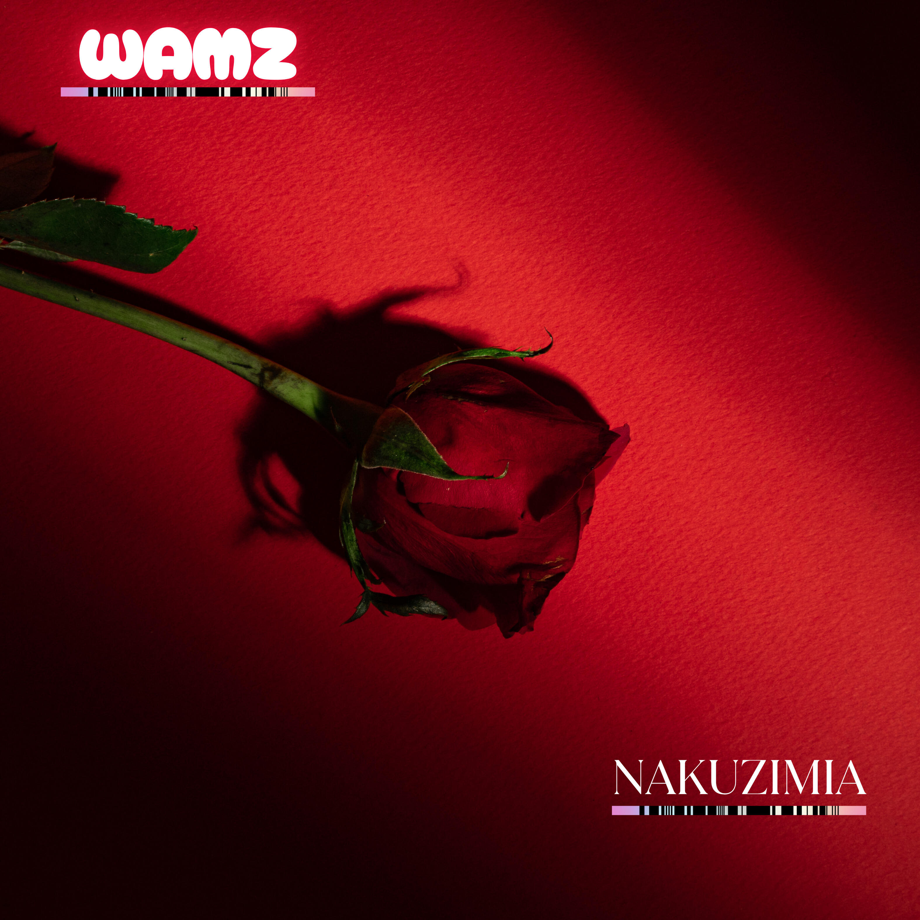 Wamz