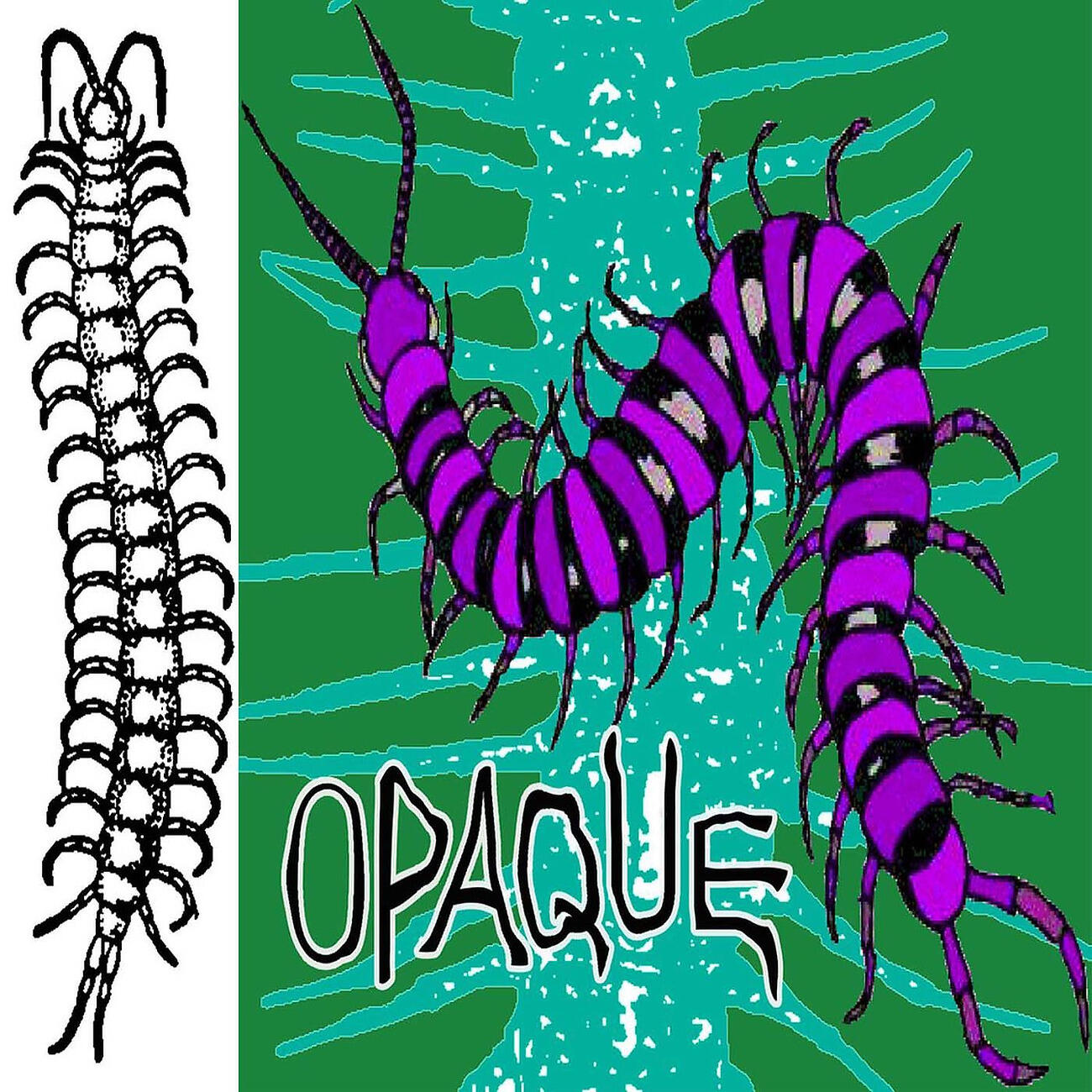 Релиз Secret Domain Of Giant Centipede