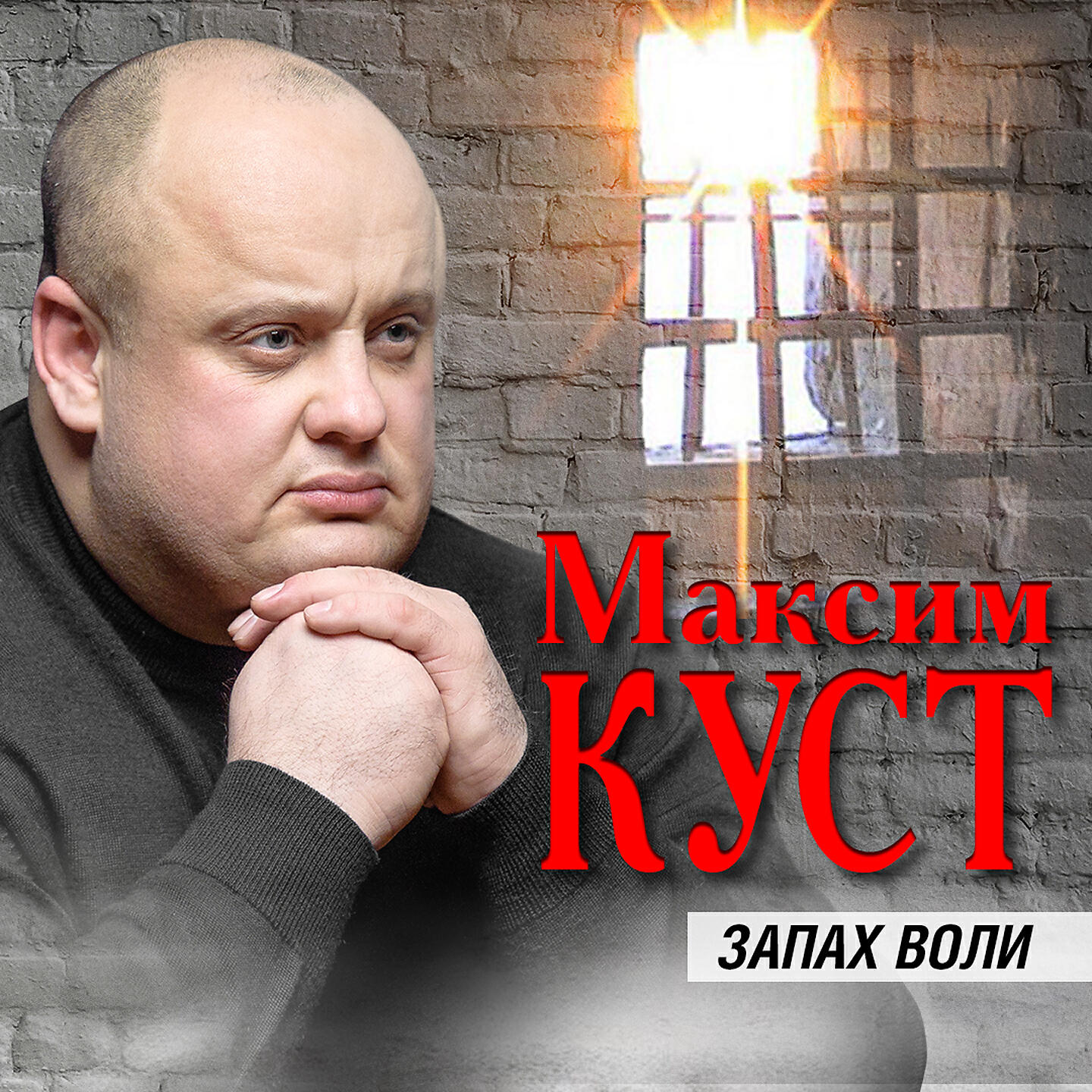 Релиз Запах воли