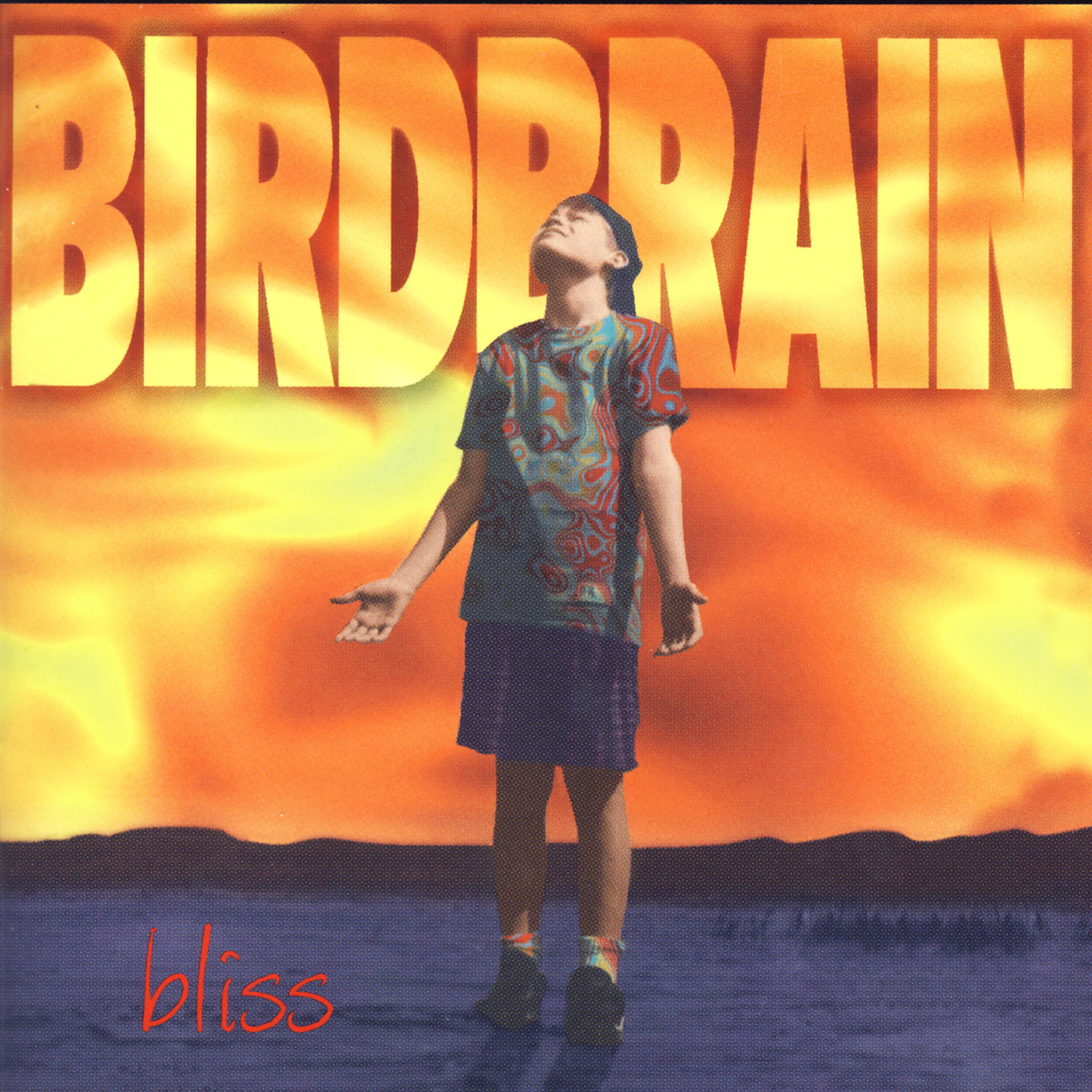 Релиз Bliss