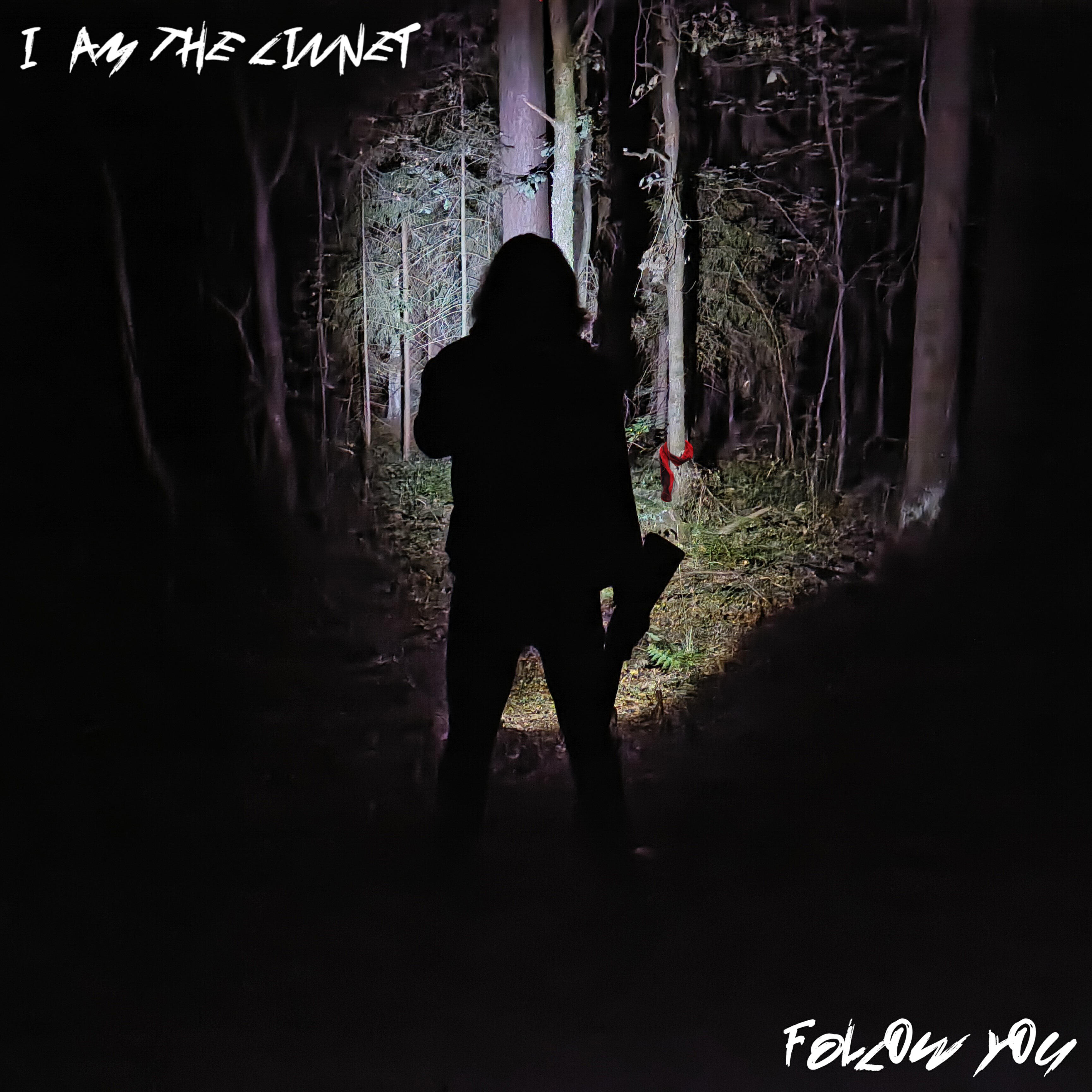 Релиз Follow You