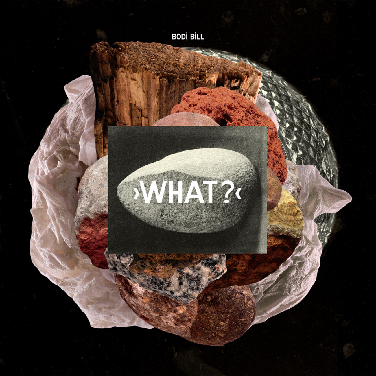 Релиз What?