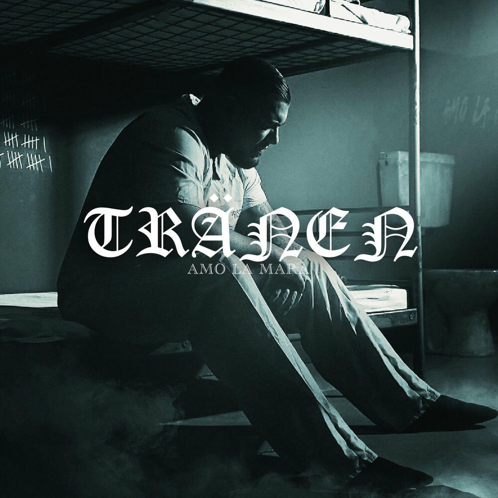 Релиз Tränen