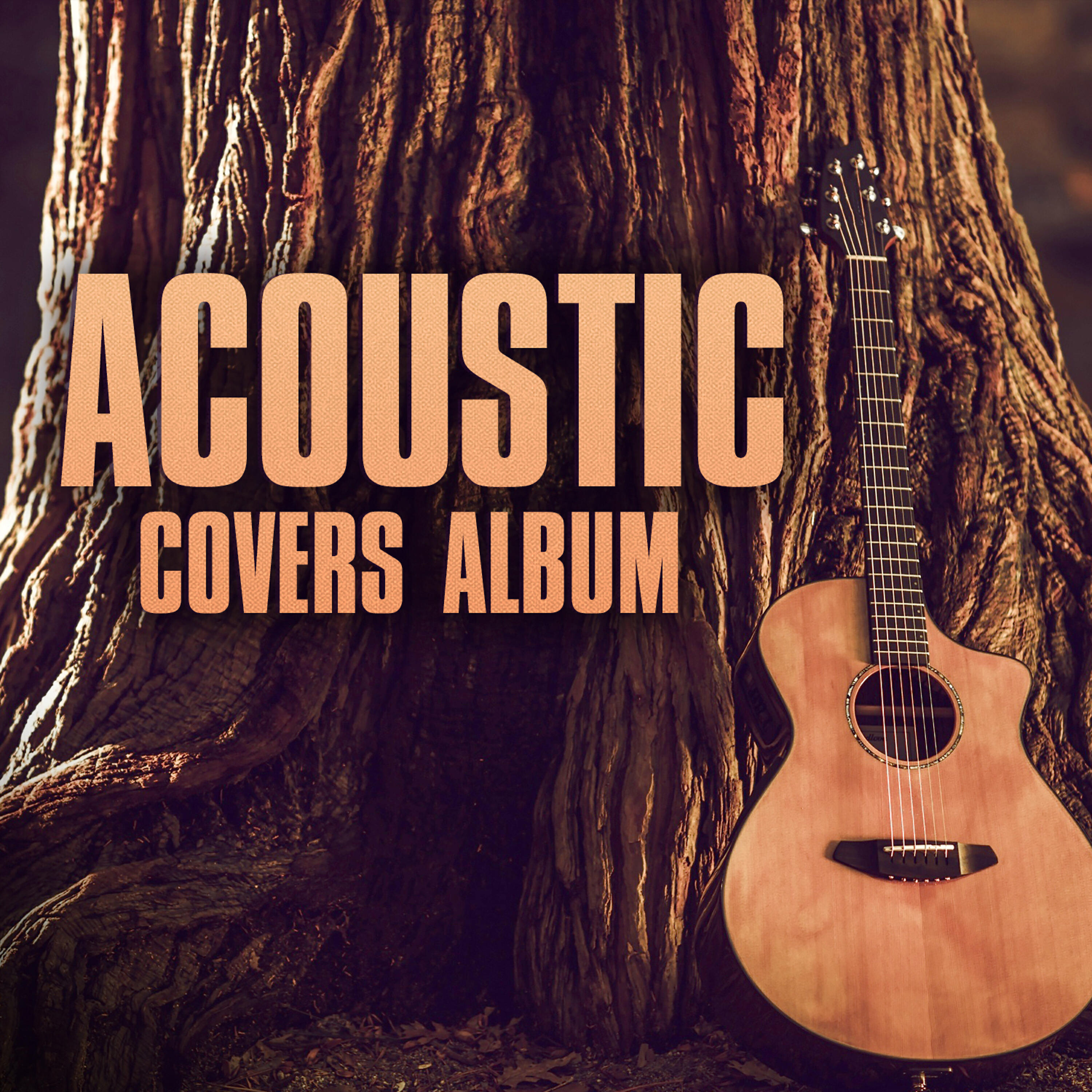 Релиз Acoustic Covers Album