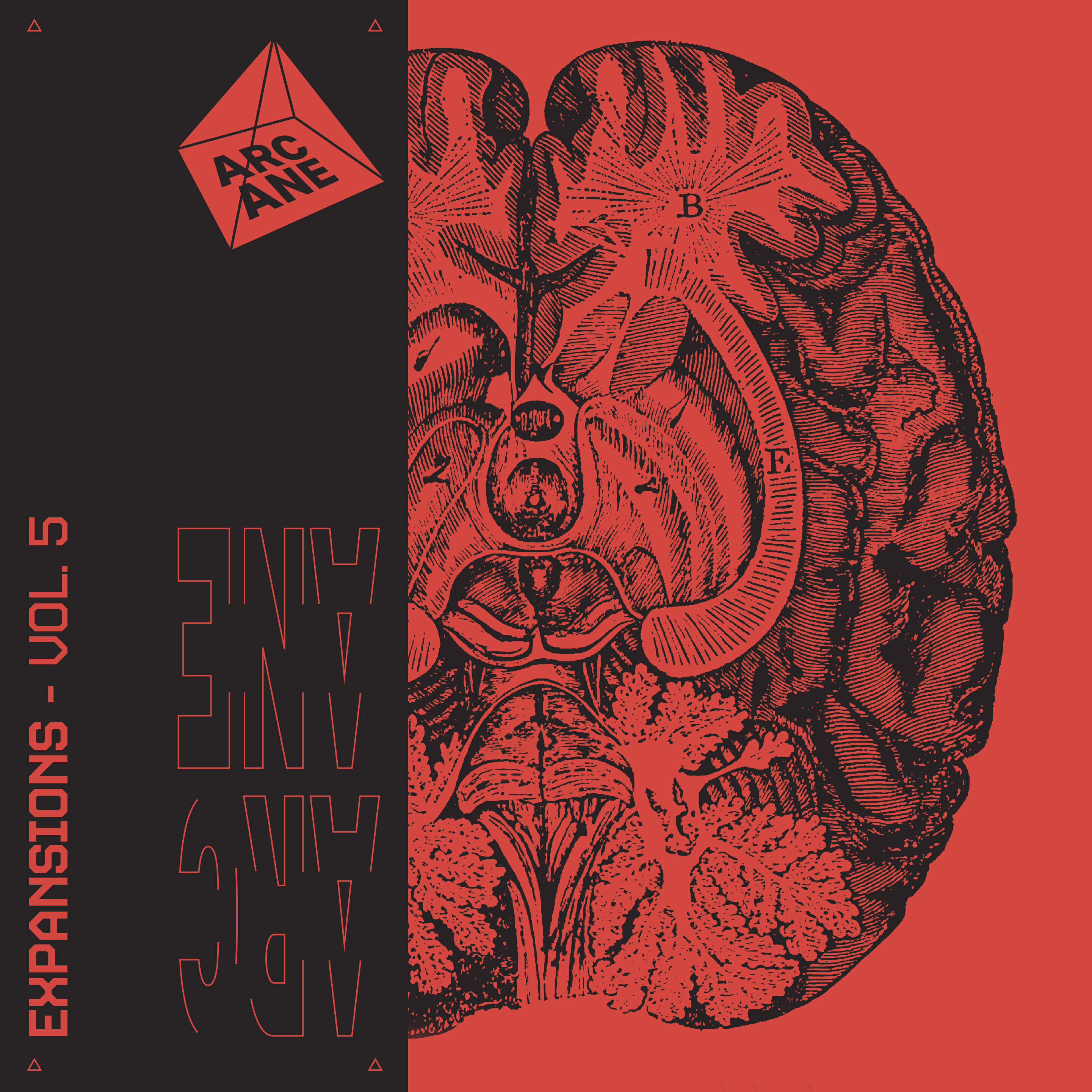 Релиз S3X P&LLS