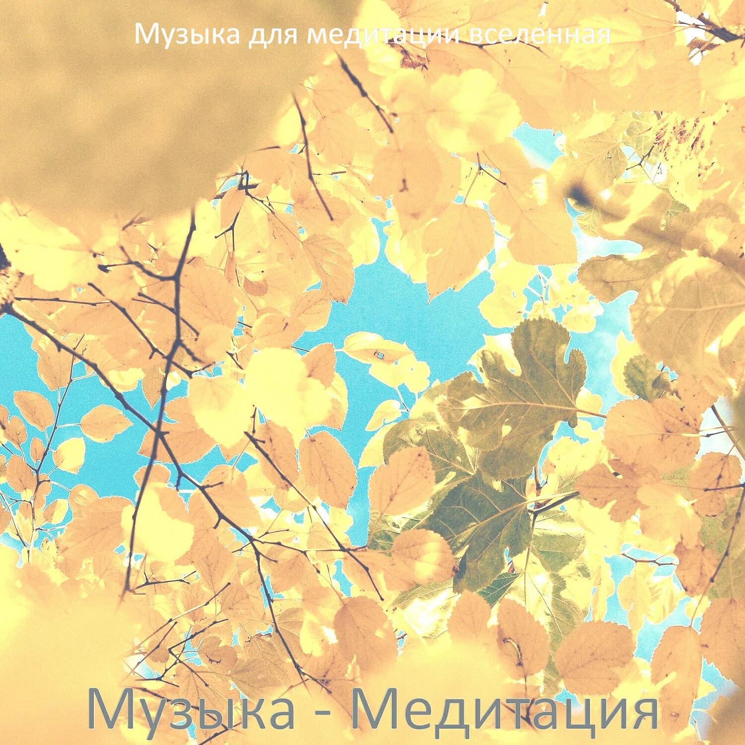 Релиз Музыка - Медитация