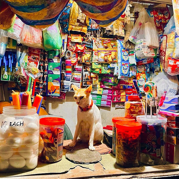 Релиз Gloria Runs the Shop