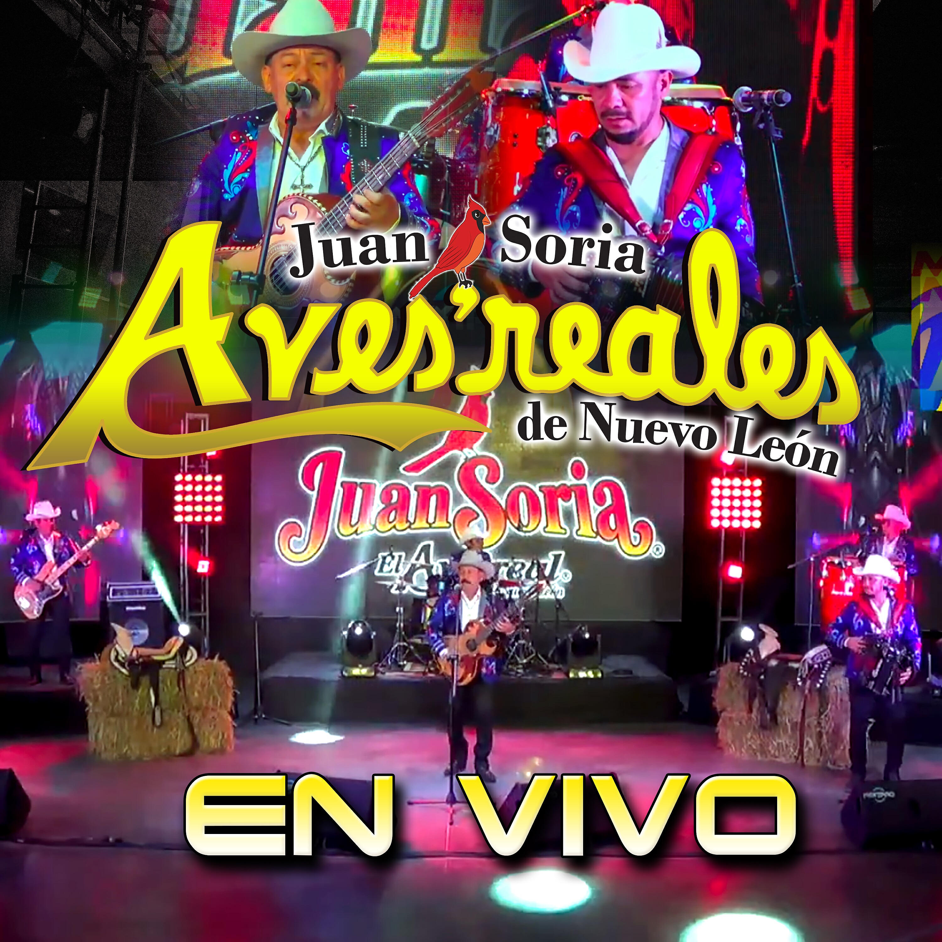 Релиз En Vivo