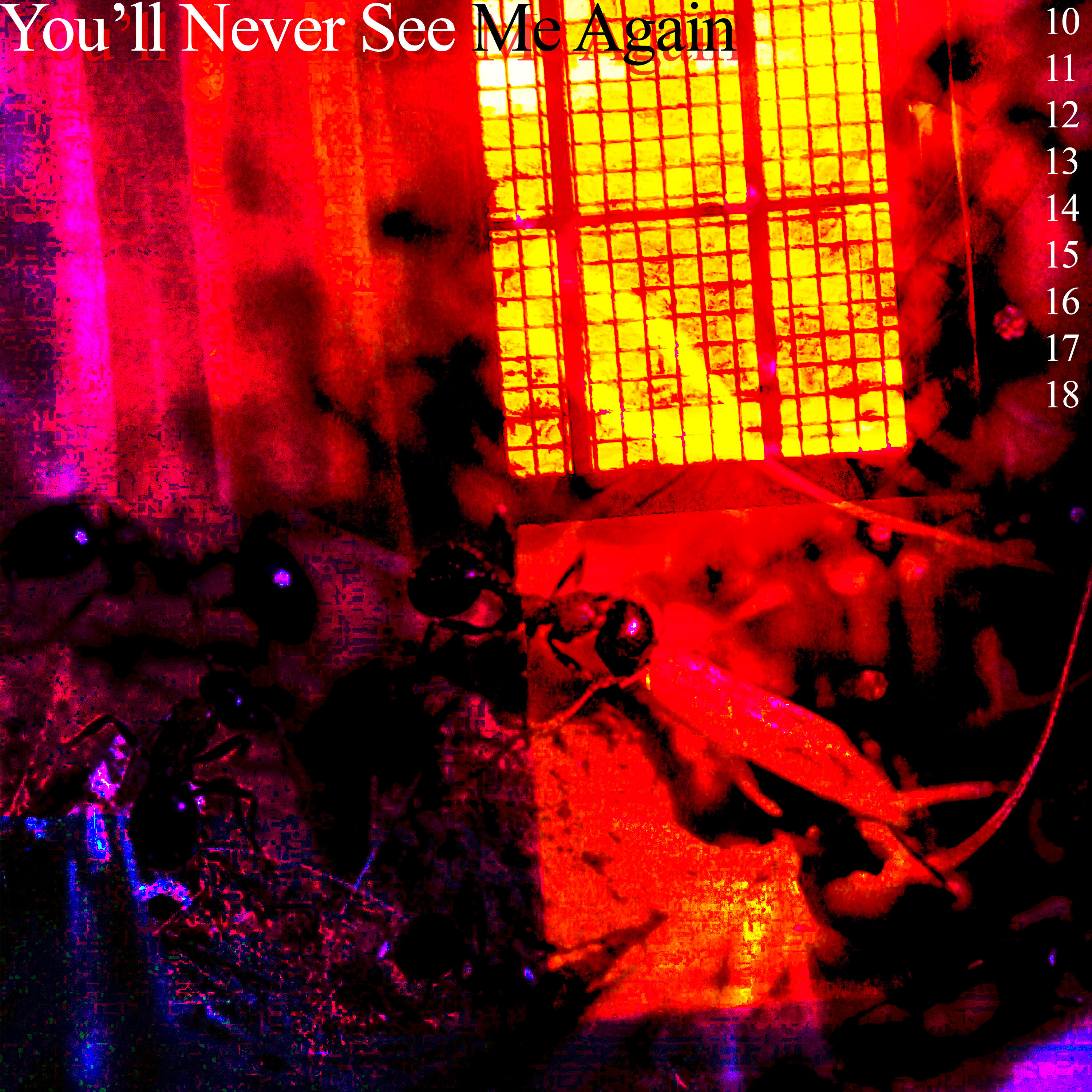 Релиз You'll Never See Me Again