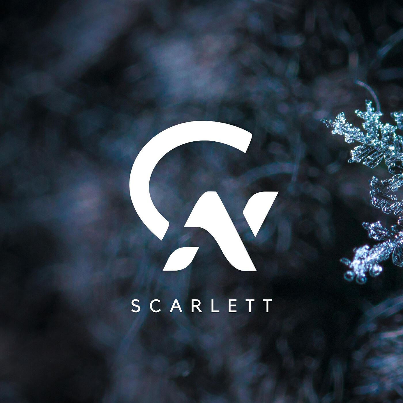 Релиз Scarlett