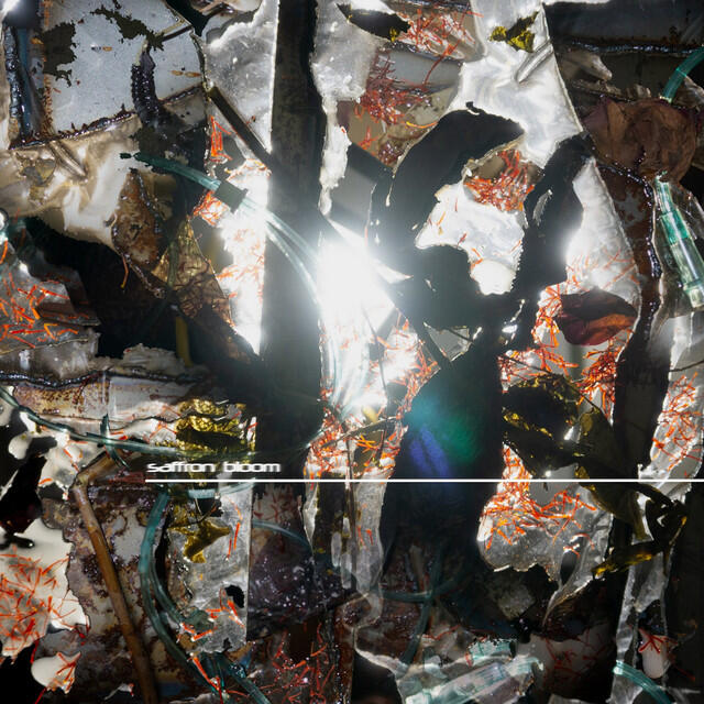 Релиз Dirge of the Lonely