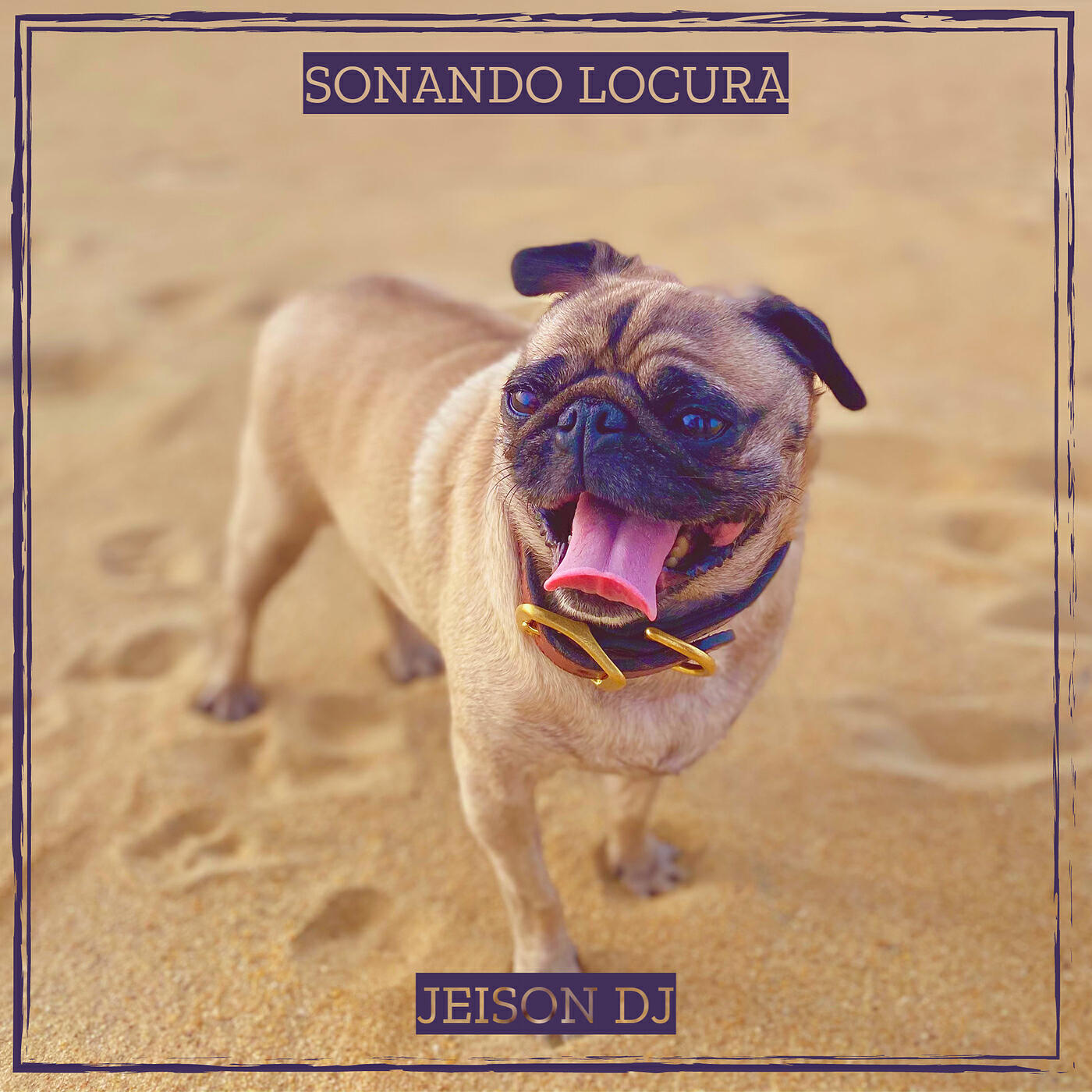 Релиз Sonando Locura