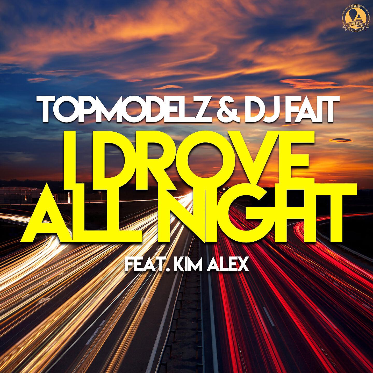 Релиз I Drove All Night
